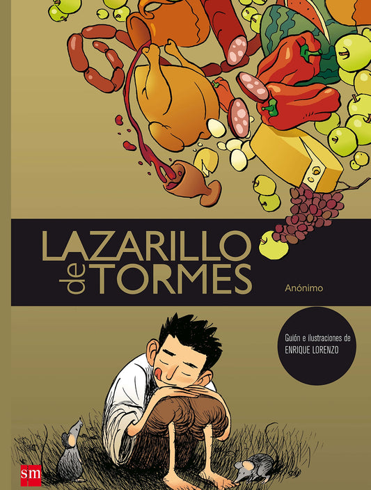 Lazarillo de Tormes (Spanish Edition) book cover