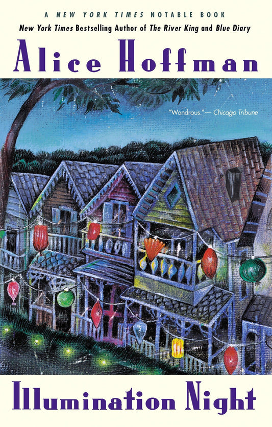 Illumination Night book cover