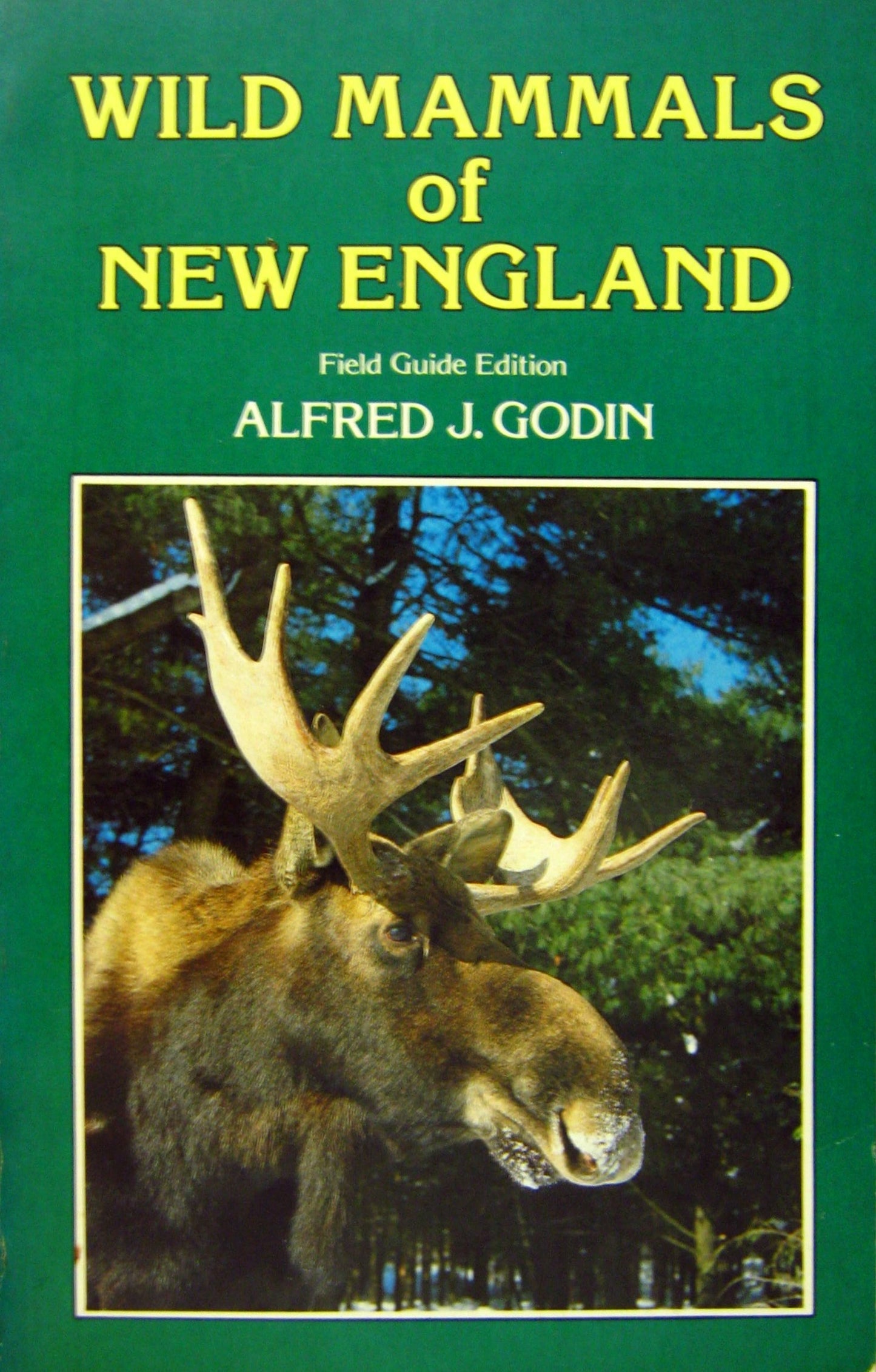 Wild Animals of New England, Field Guide Ed. book cover