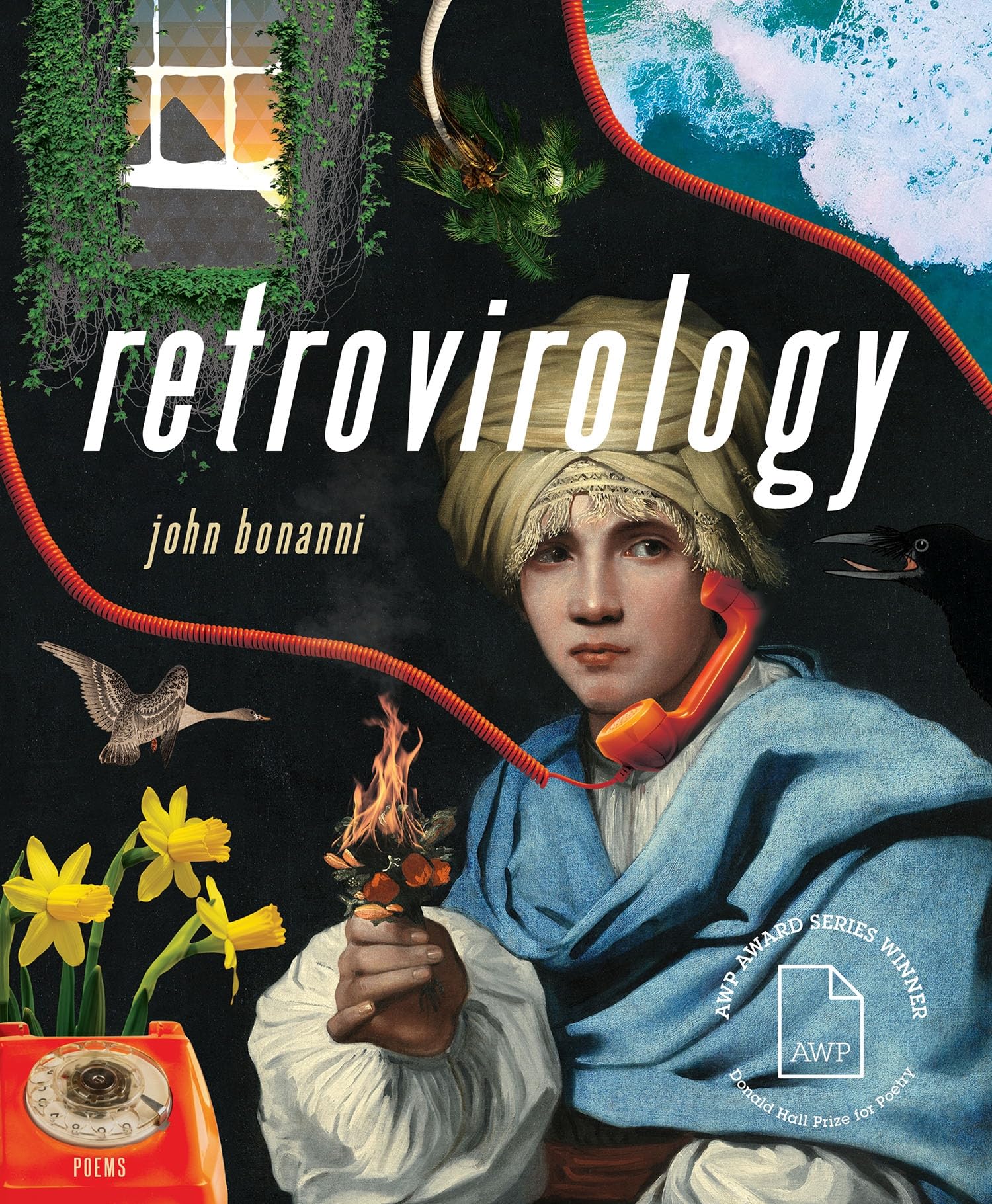 retrovirology book cover
