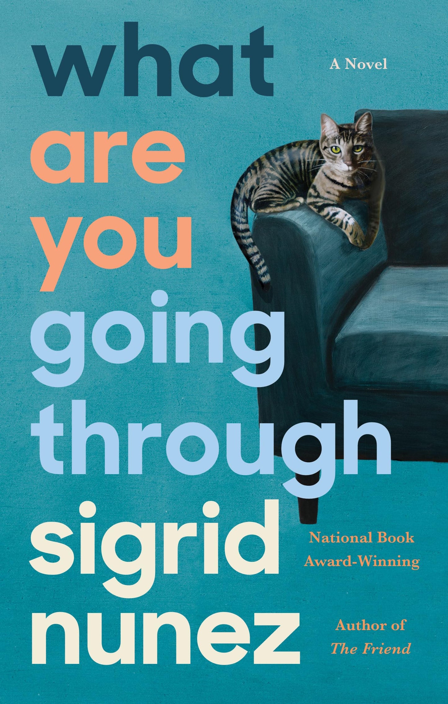 What Are You Going Through book cover