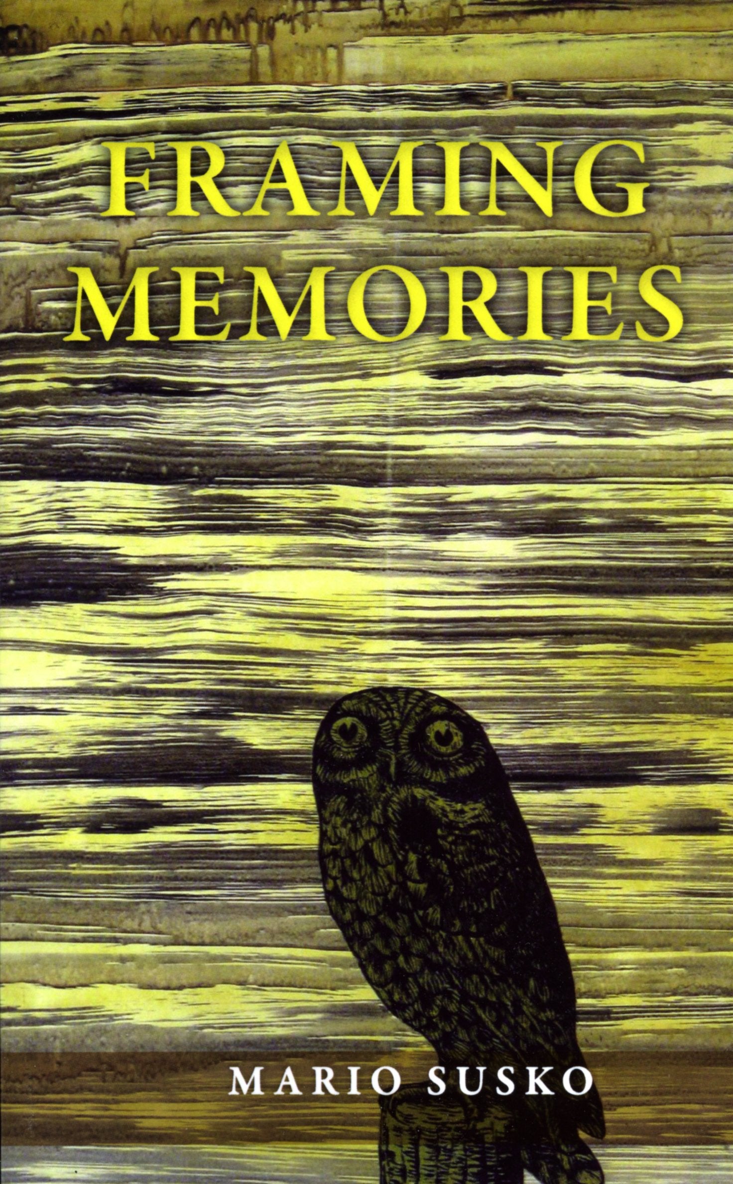 Framing Memories book cover