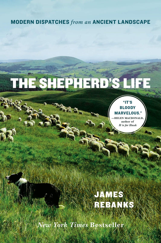 Shepherd's Life: Modern Dispatches from an Ancient Landscape book cover