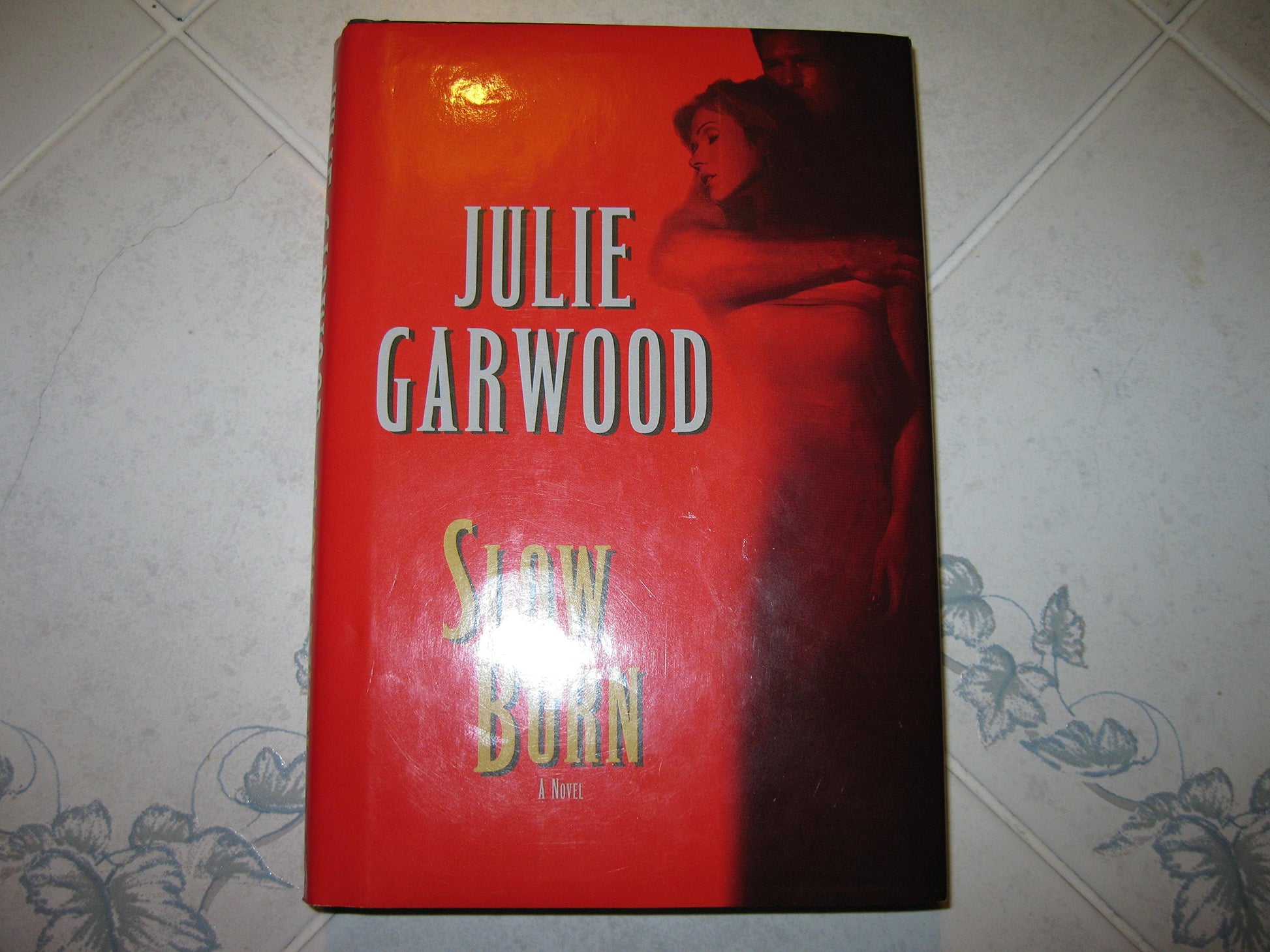 Slow Burn book cover