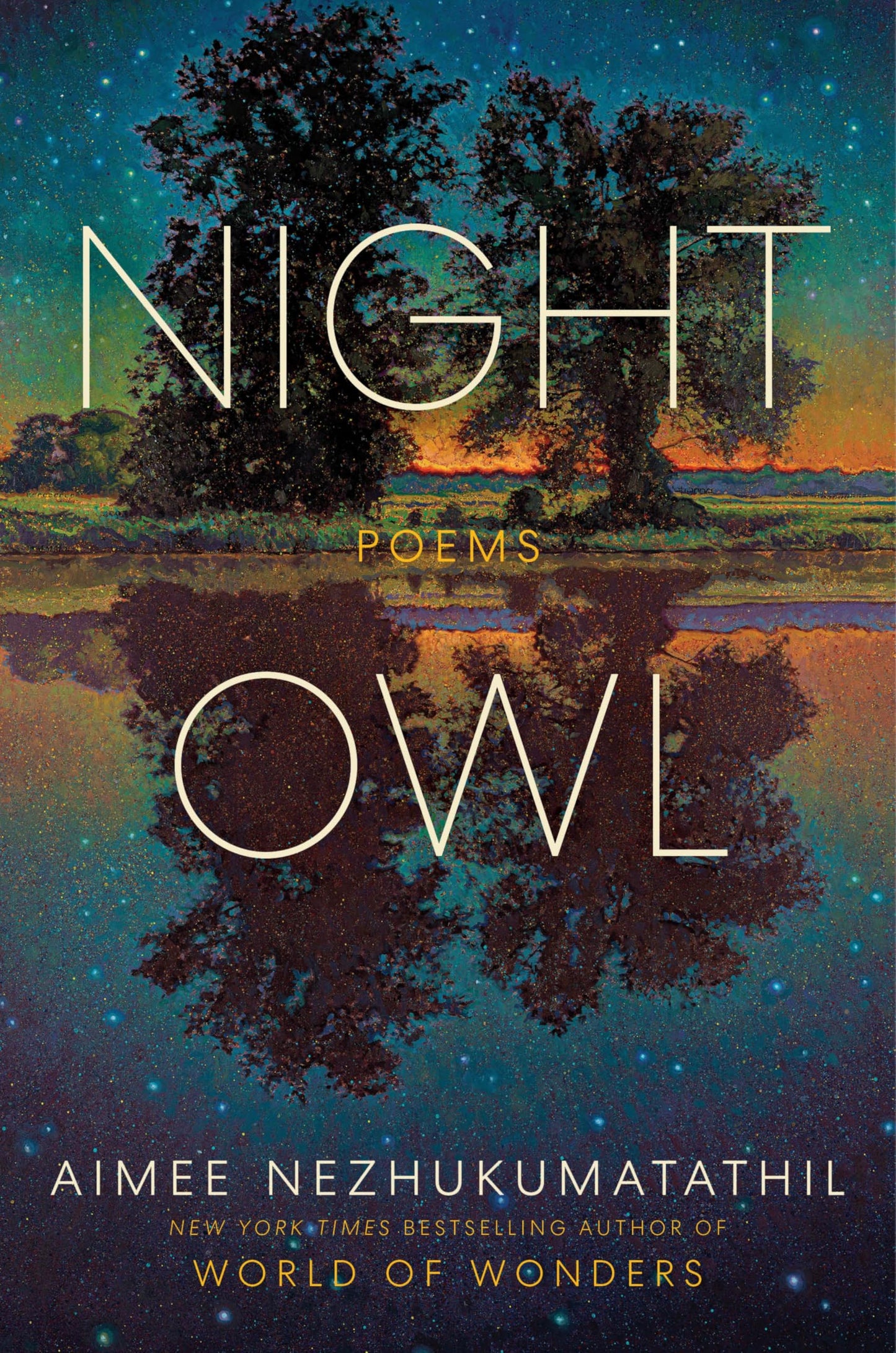 Night Owl book cover