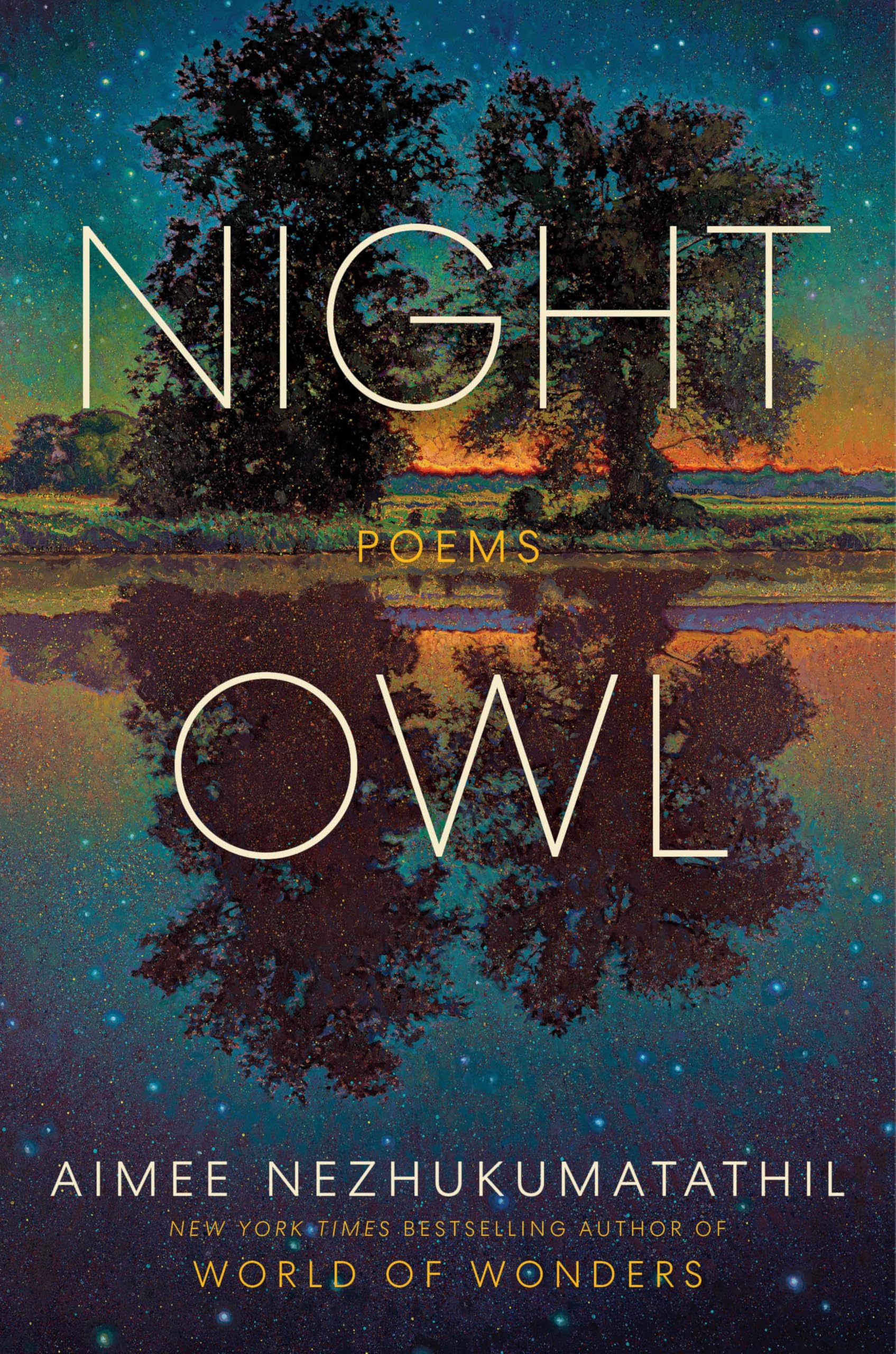 Night Owl book cover