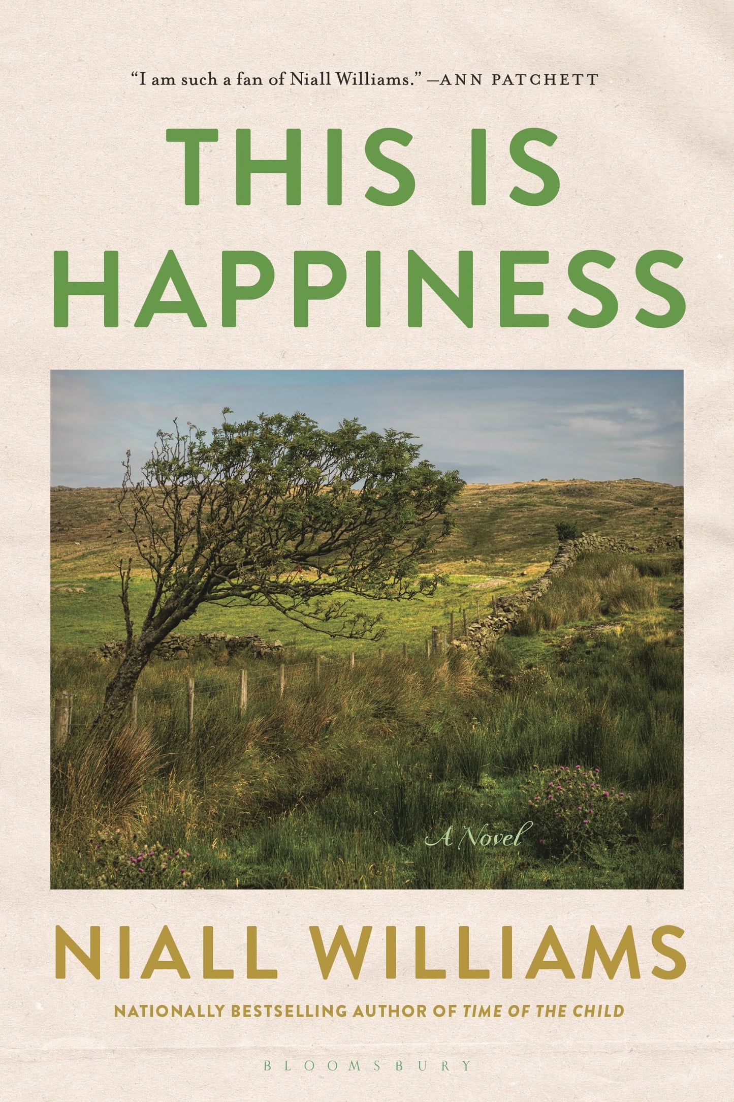 This Is Happiness book cover