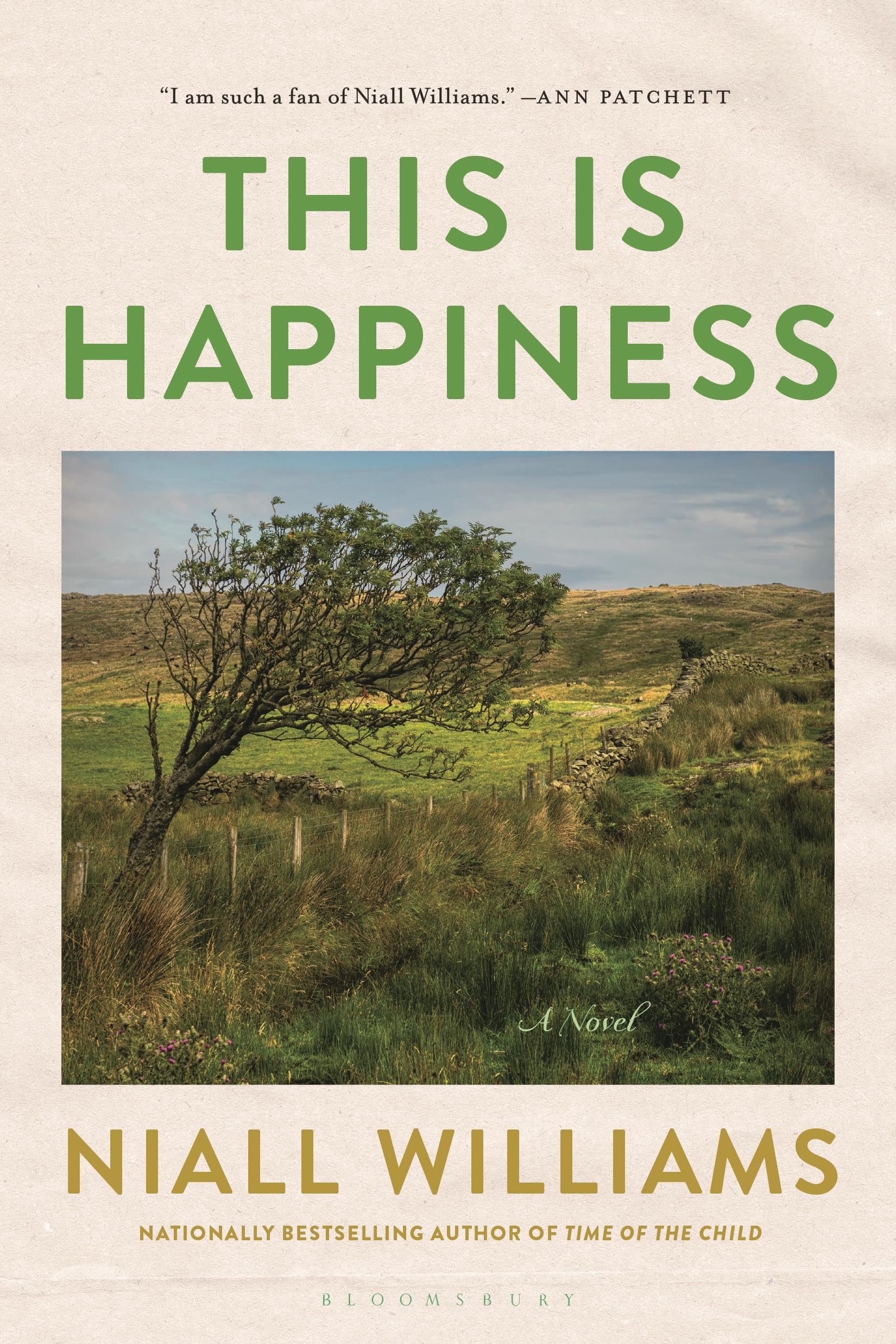 This Is Happiness book cover