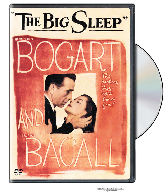 Big Sleep book cover