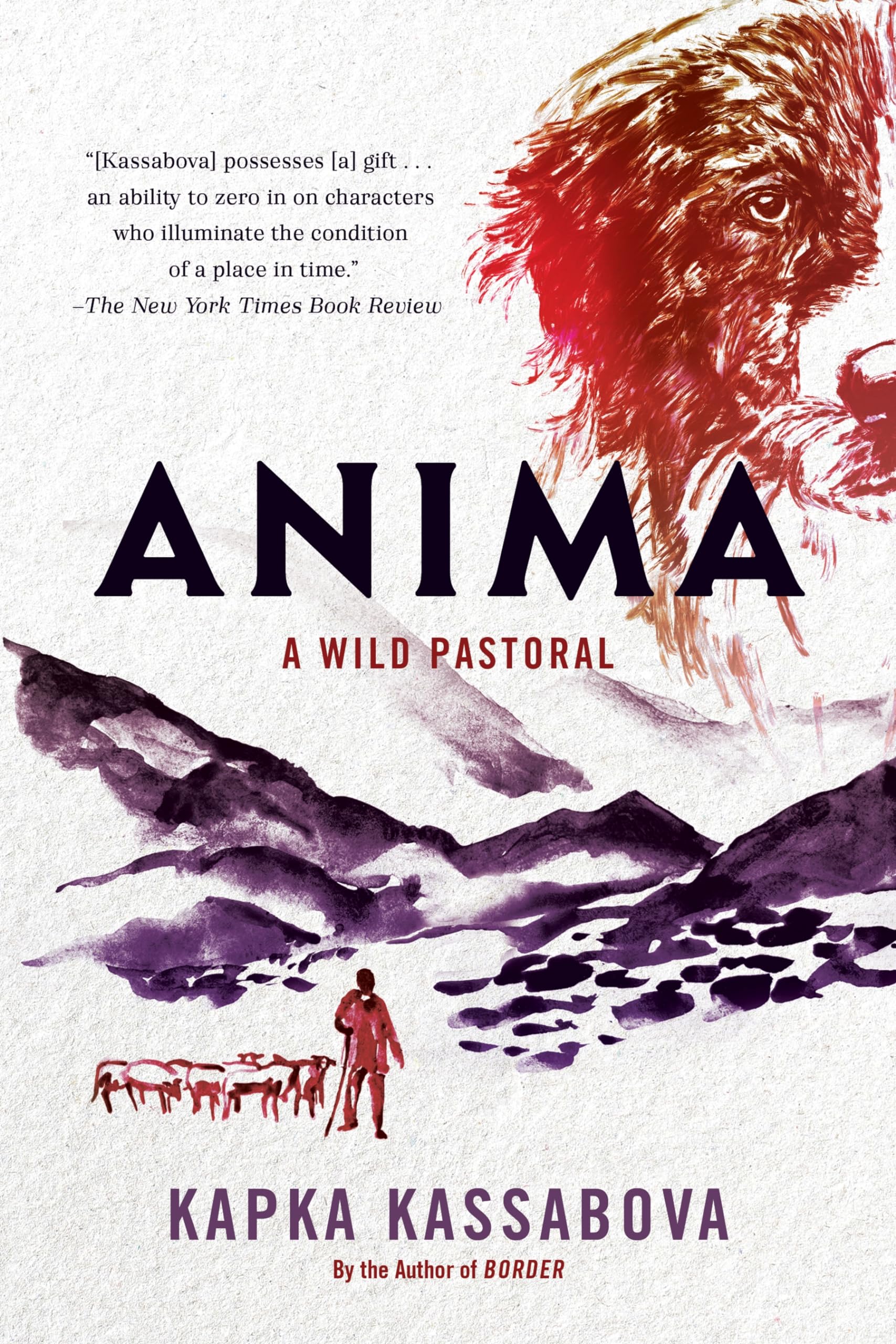 Anima book cover