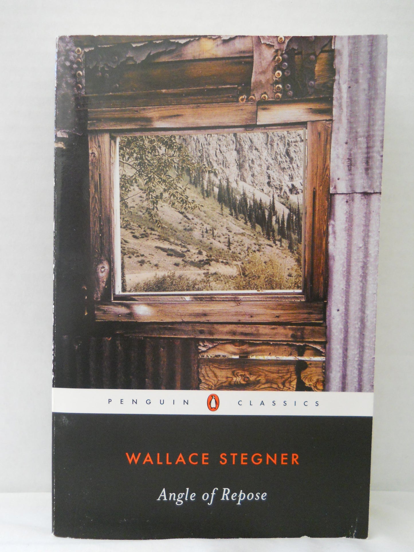Angle of Repose book cover