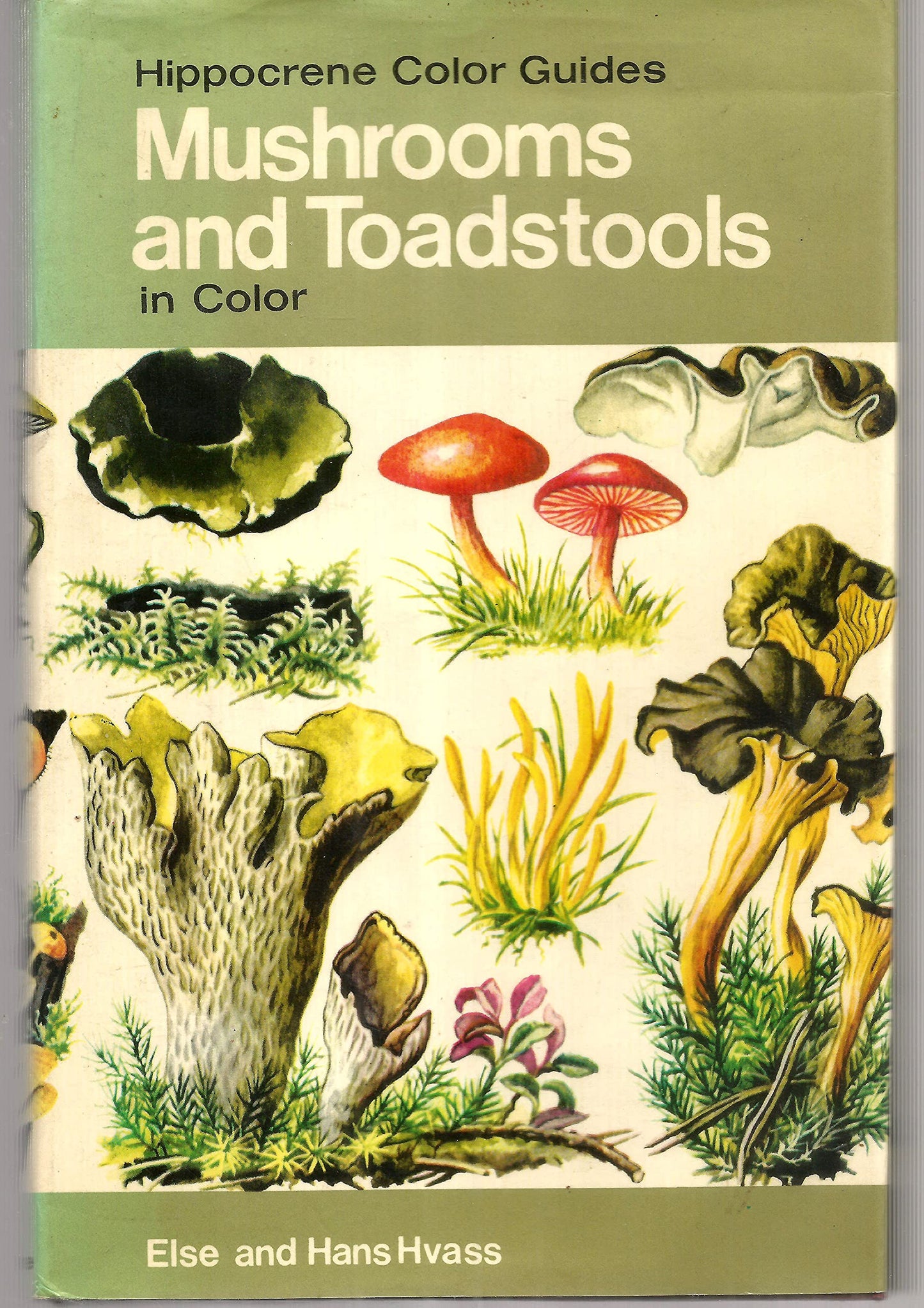 Mushrooms and toadstools, in color, (Hippocrene color guide)