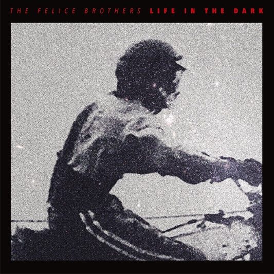 Life in the Dark book cover