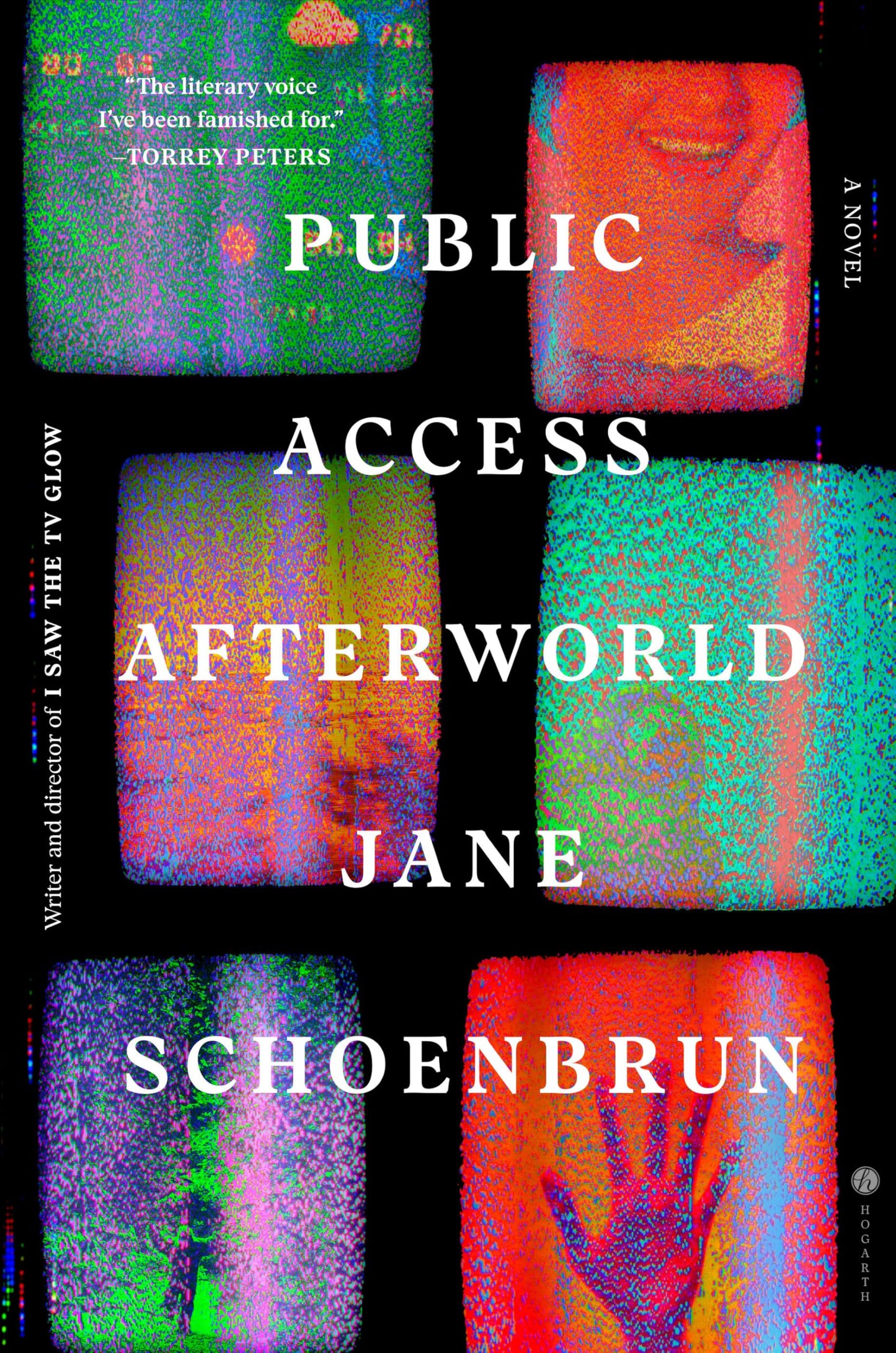 Public Access Afterworld book cover
