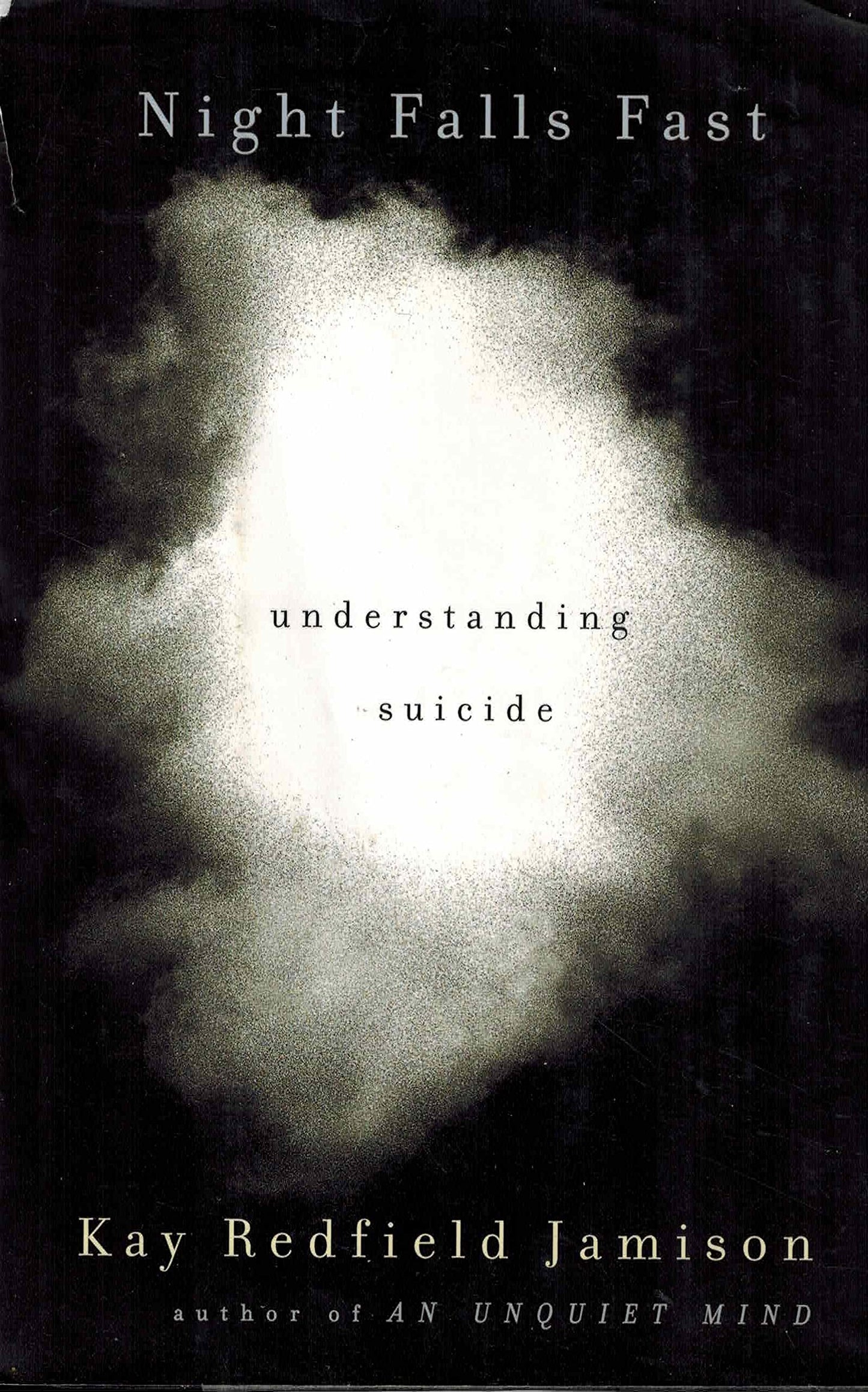 Night Falls Fast: Understanding Suicide book cover