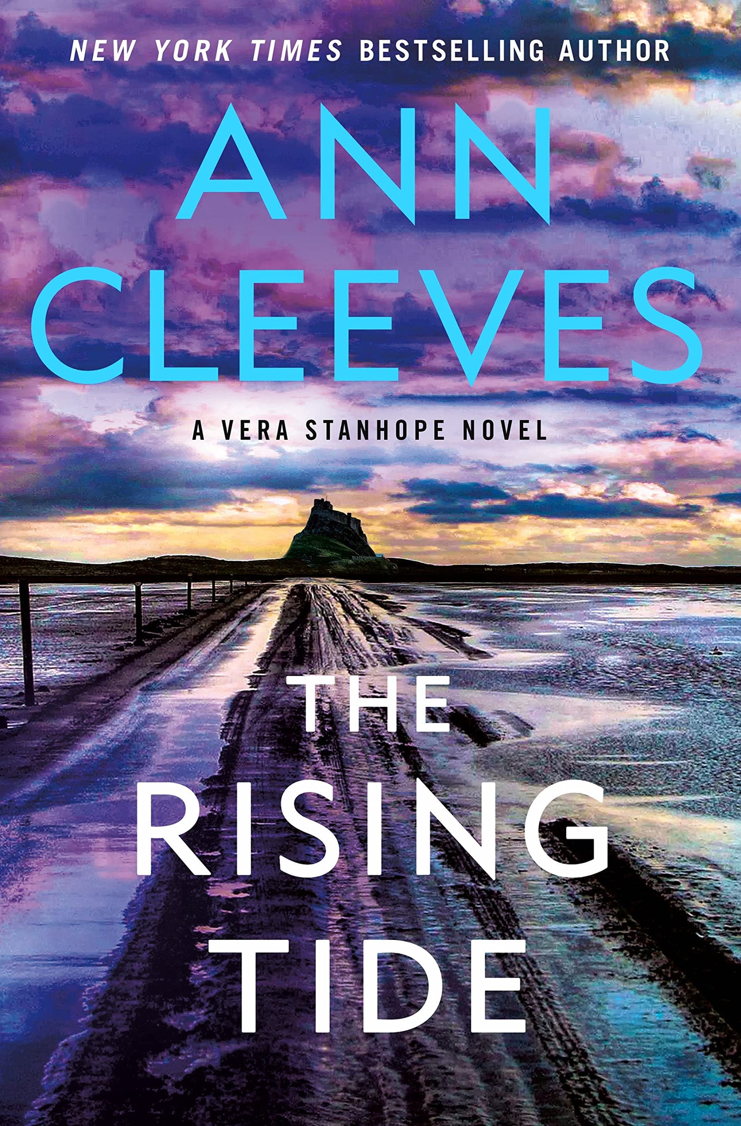 Rising Tide: A Vera Stanhope Novel book cover