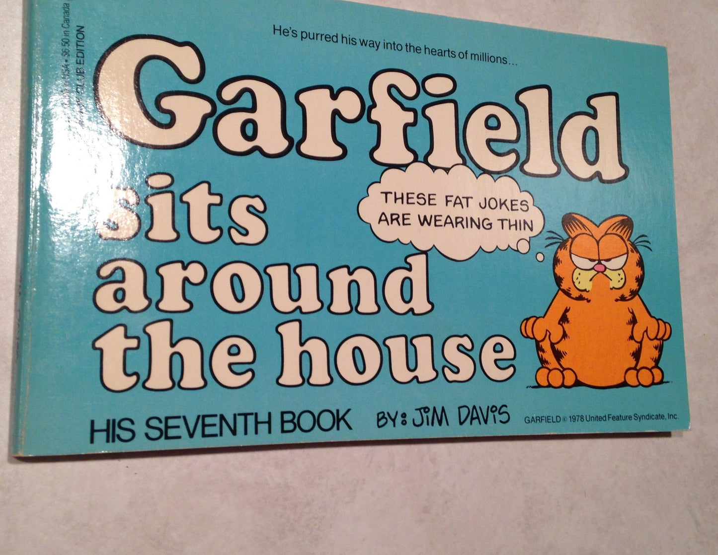 Garfield Sits Around HS book cover