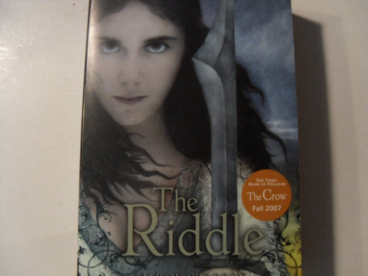 Riddle book cover