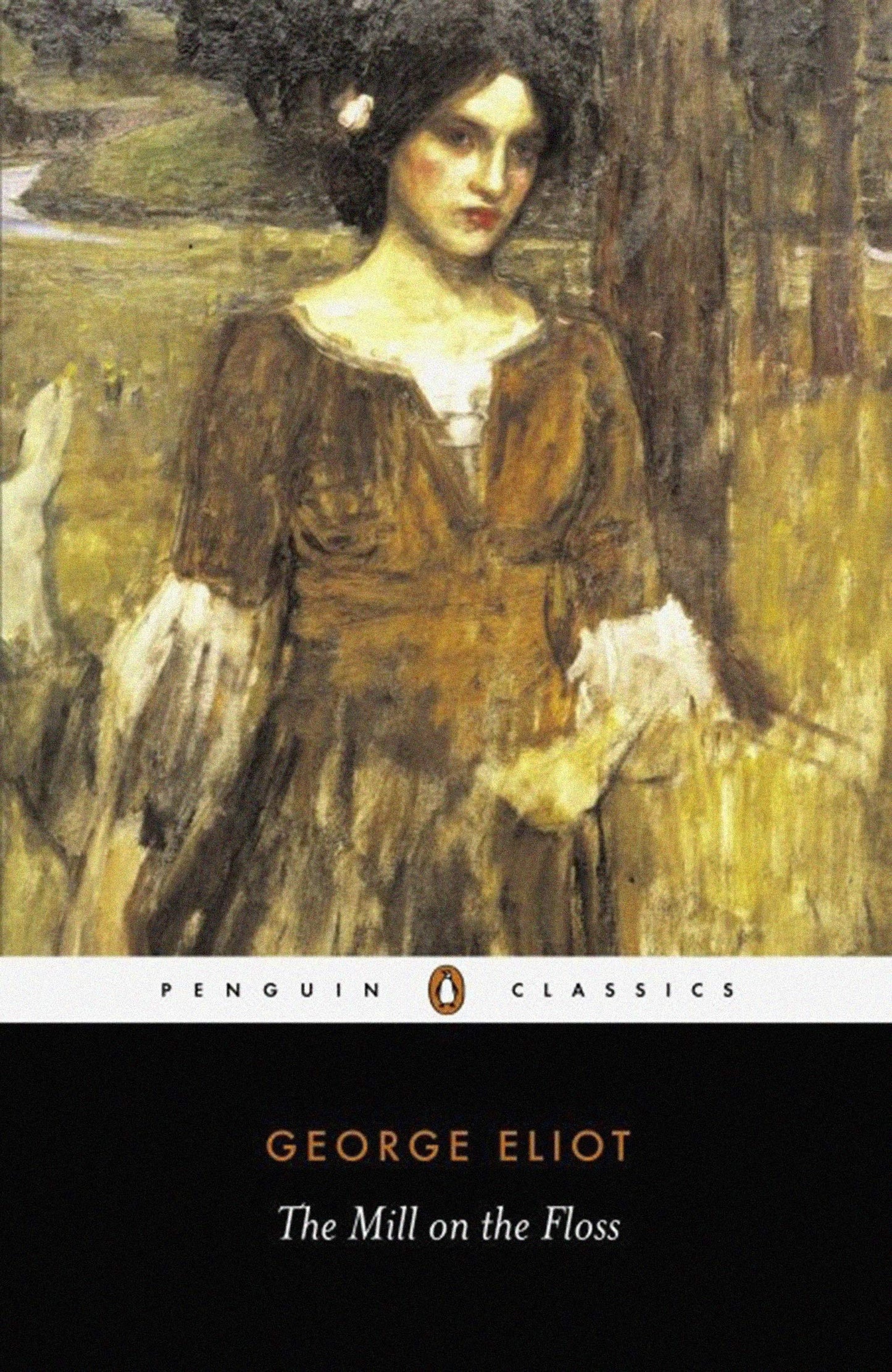 The Mill on the Floss book cover