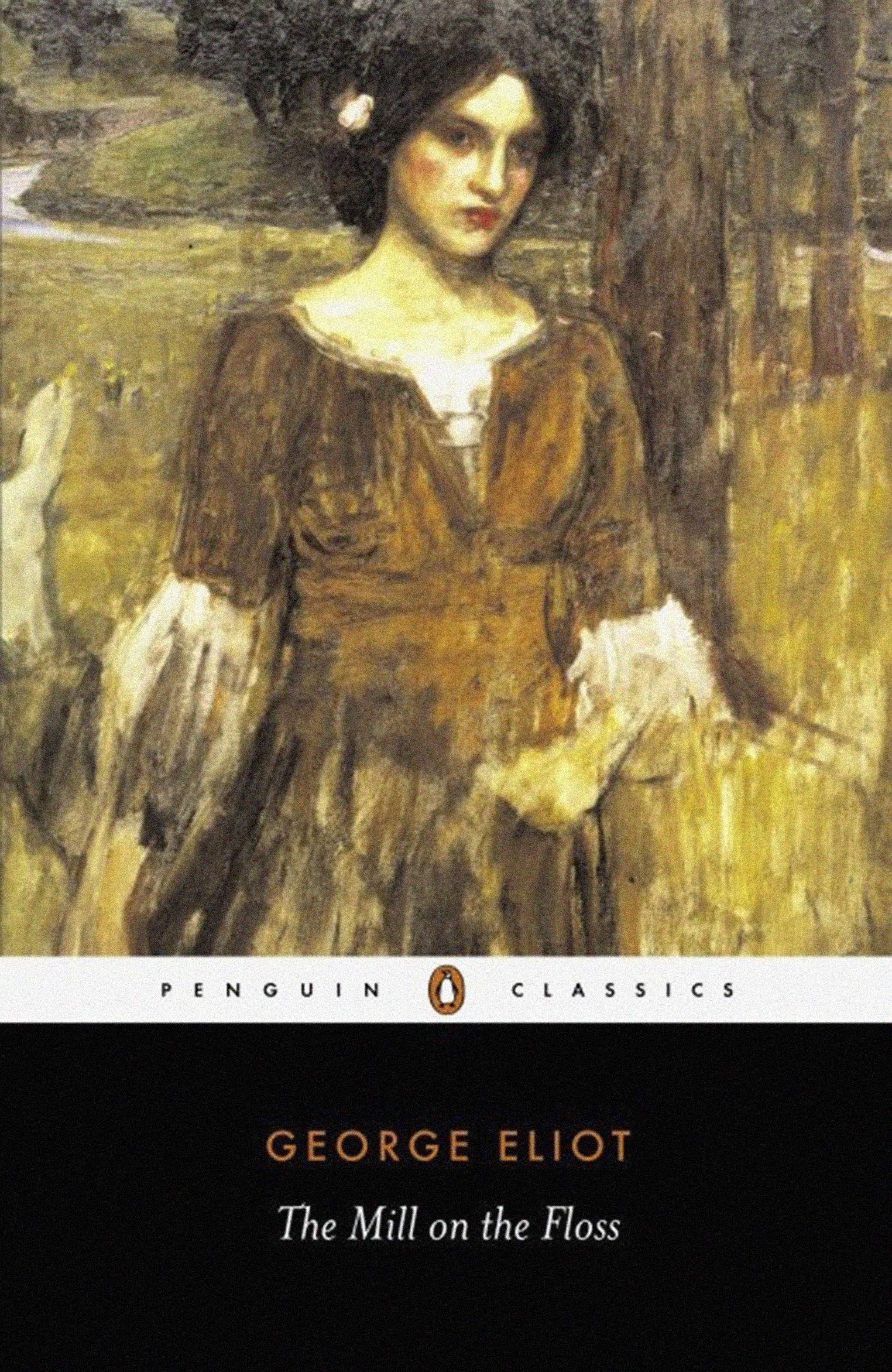 The Mill on the Floss book cover
