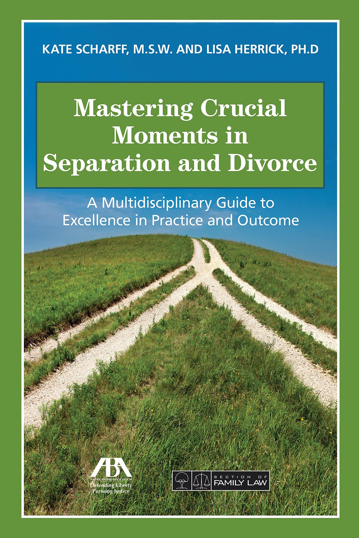 Mastering Crucial Moments in Separation and Divorce: A Multidisciplinary Guide to Excellence in Practice and Outcome book cover