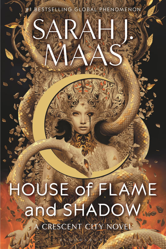 House of Flame and Shadow book cover