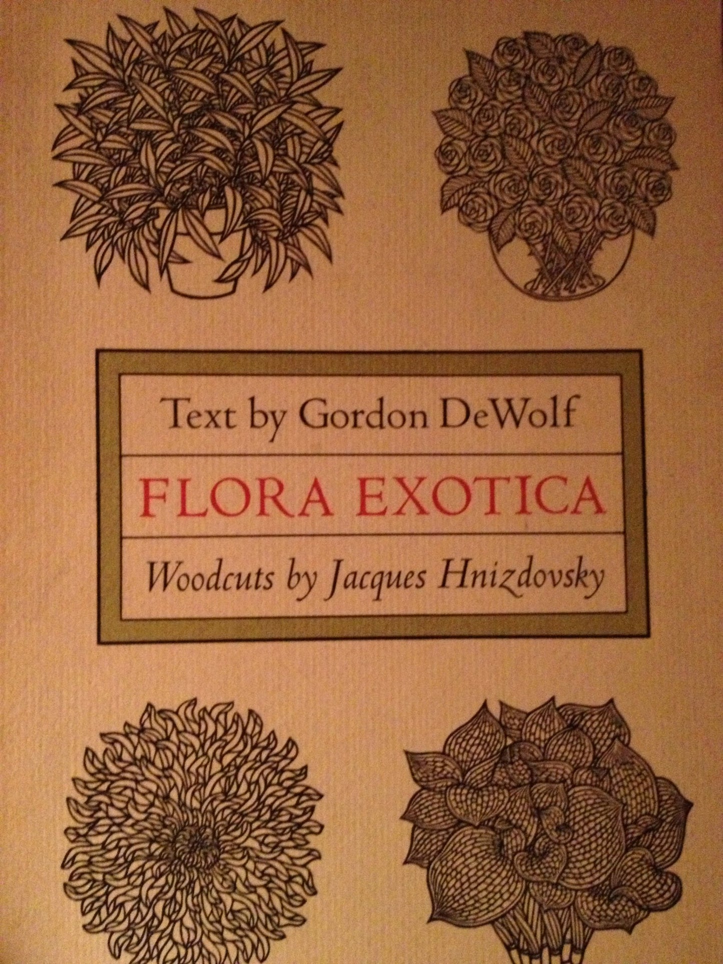 Flora Exotica: A Collection of Flowering Plants