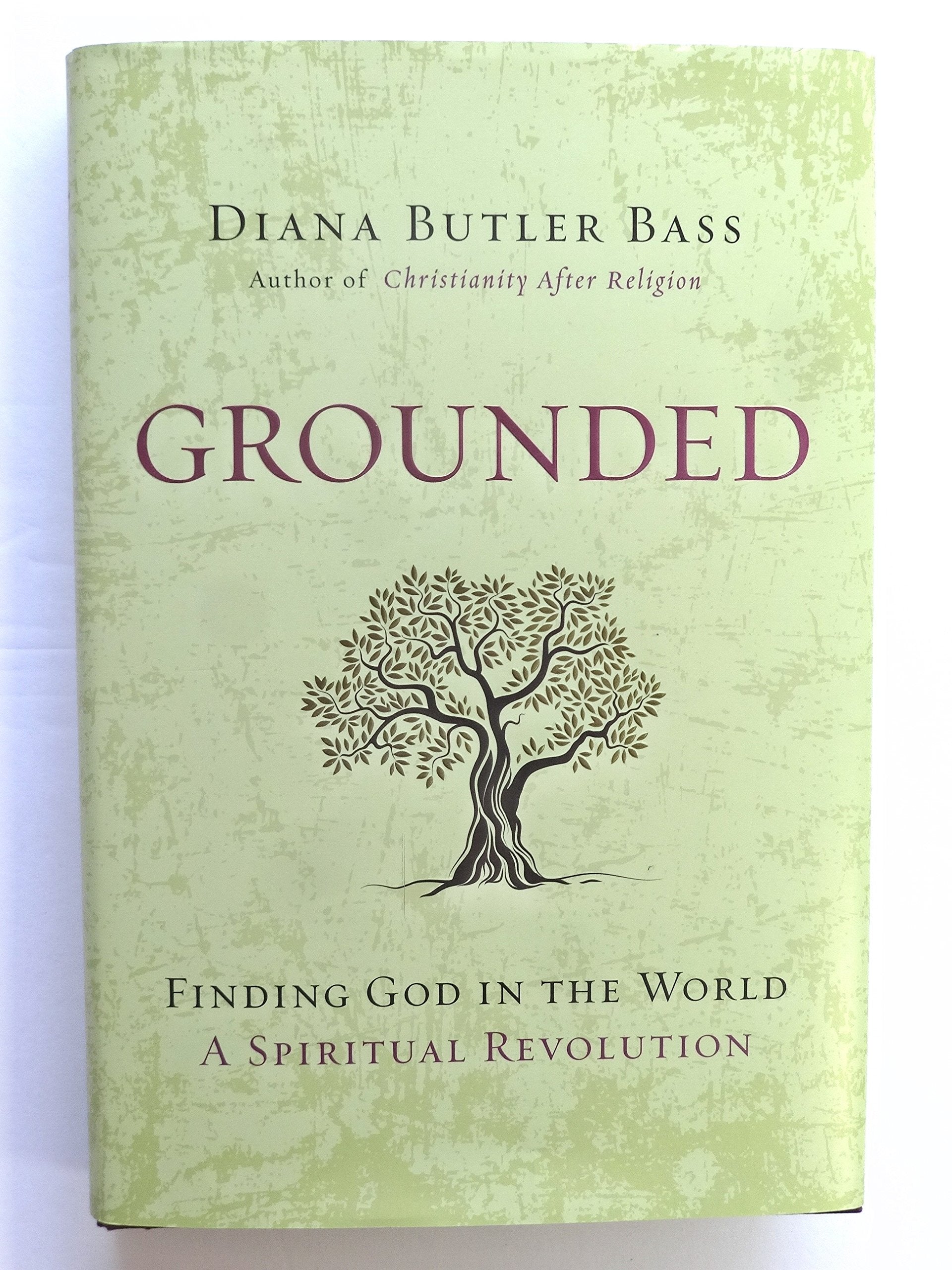 Grounded: Finding God in the World-A Spiritual Revolution book cover