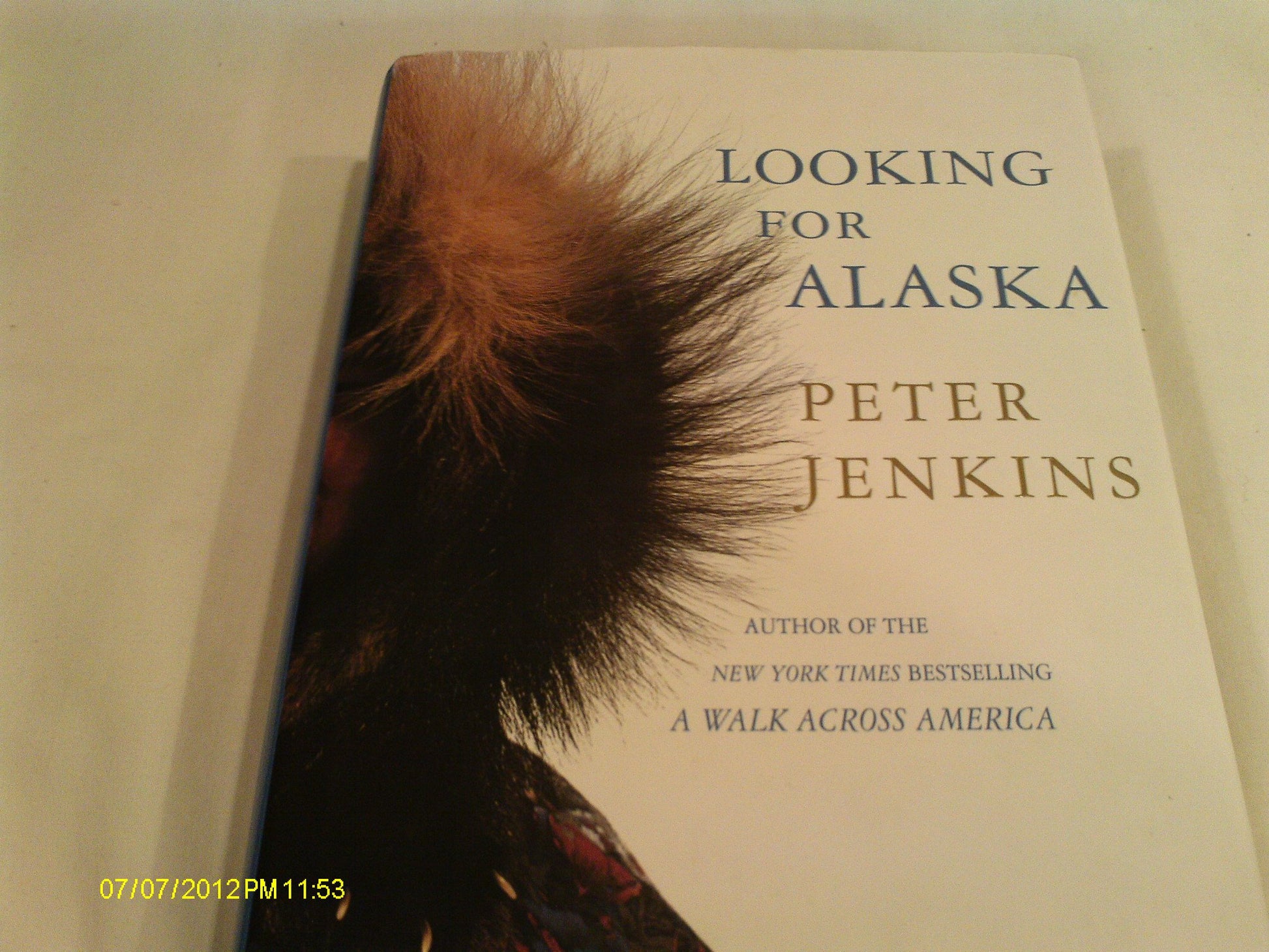 Looking for Alaska book cover