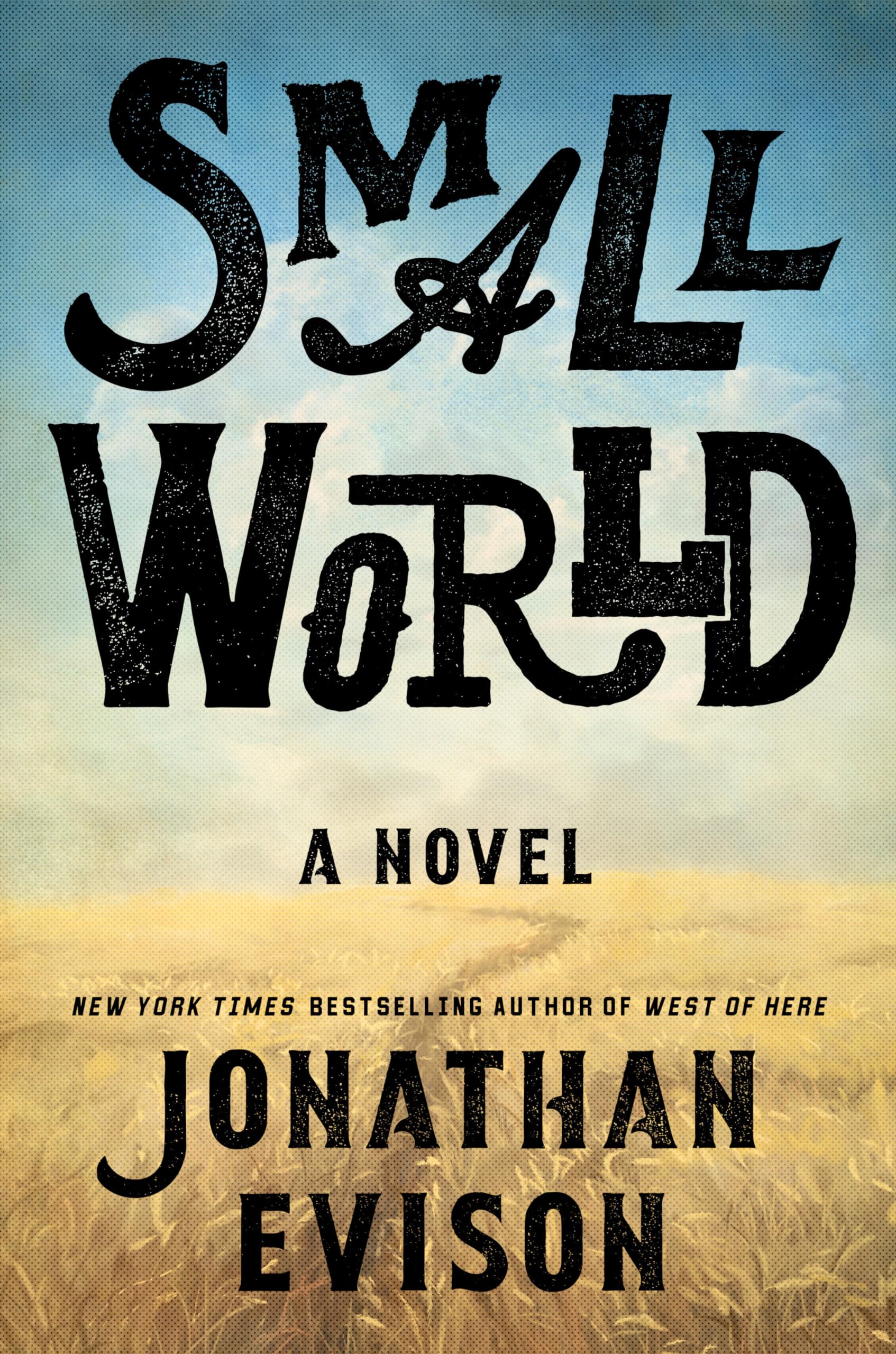 Small World book cover