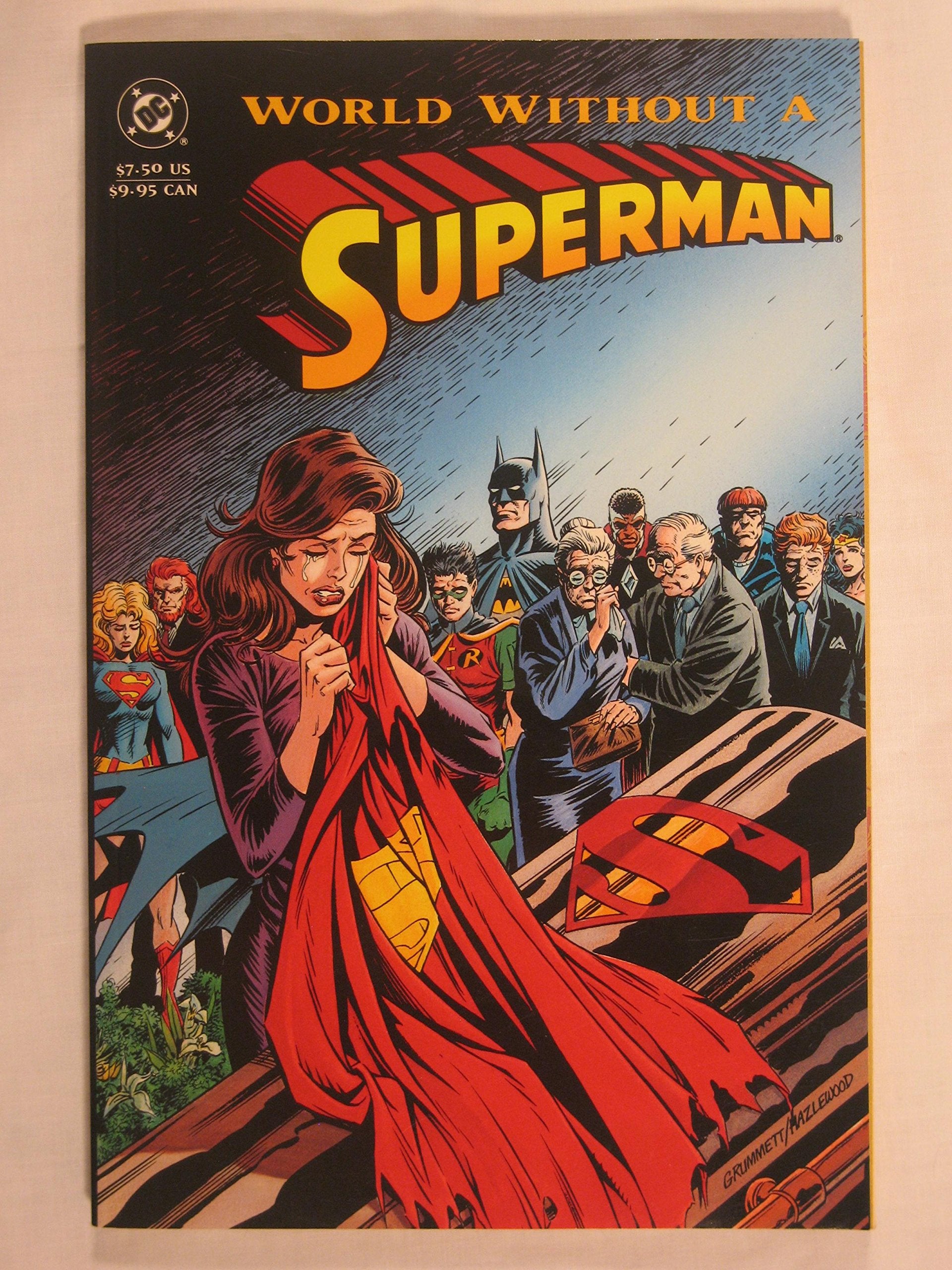 World Without a Superman book cover