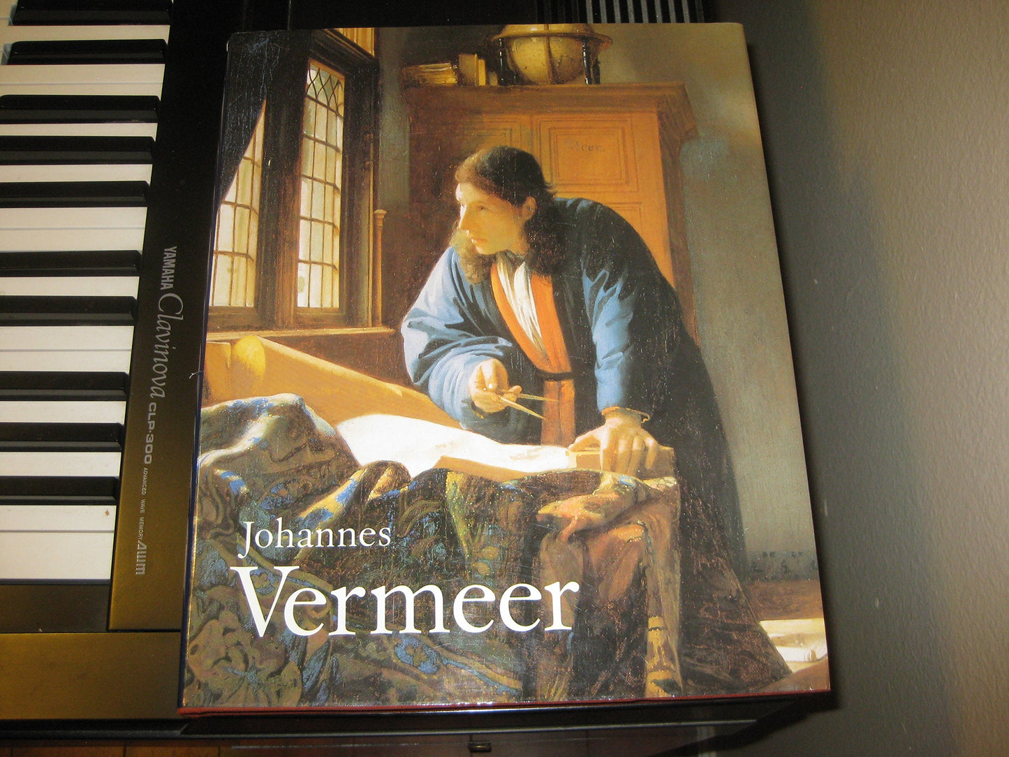Johannes Vermeer book cover