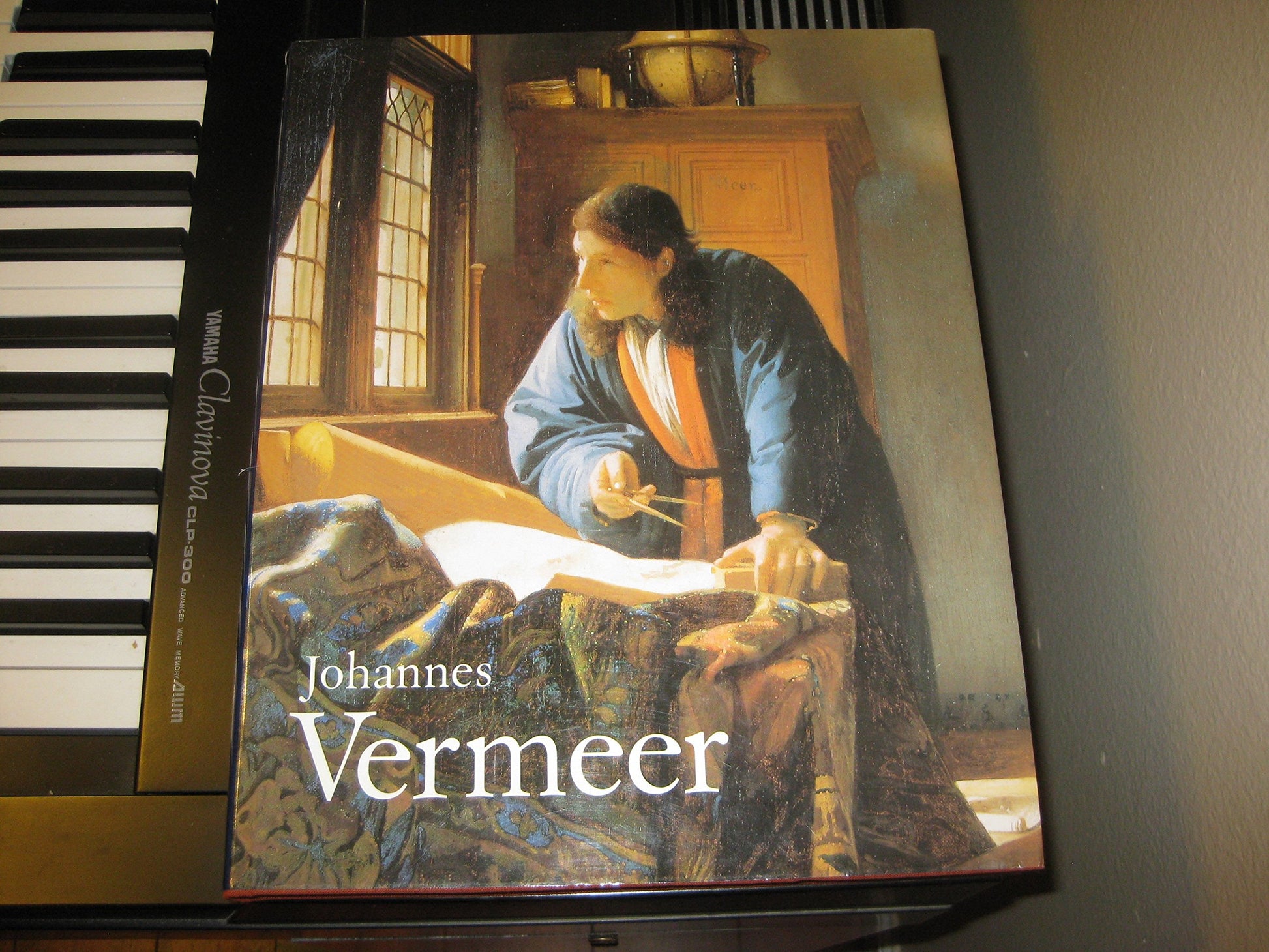 Johannes Vermeer book cover