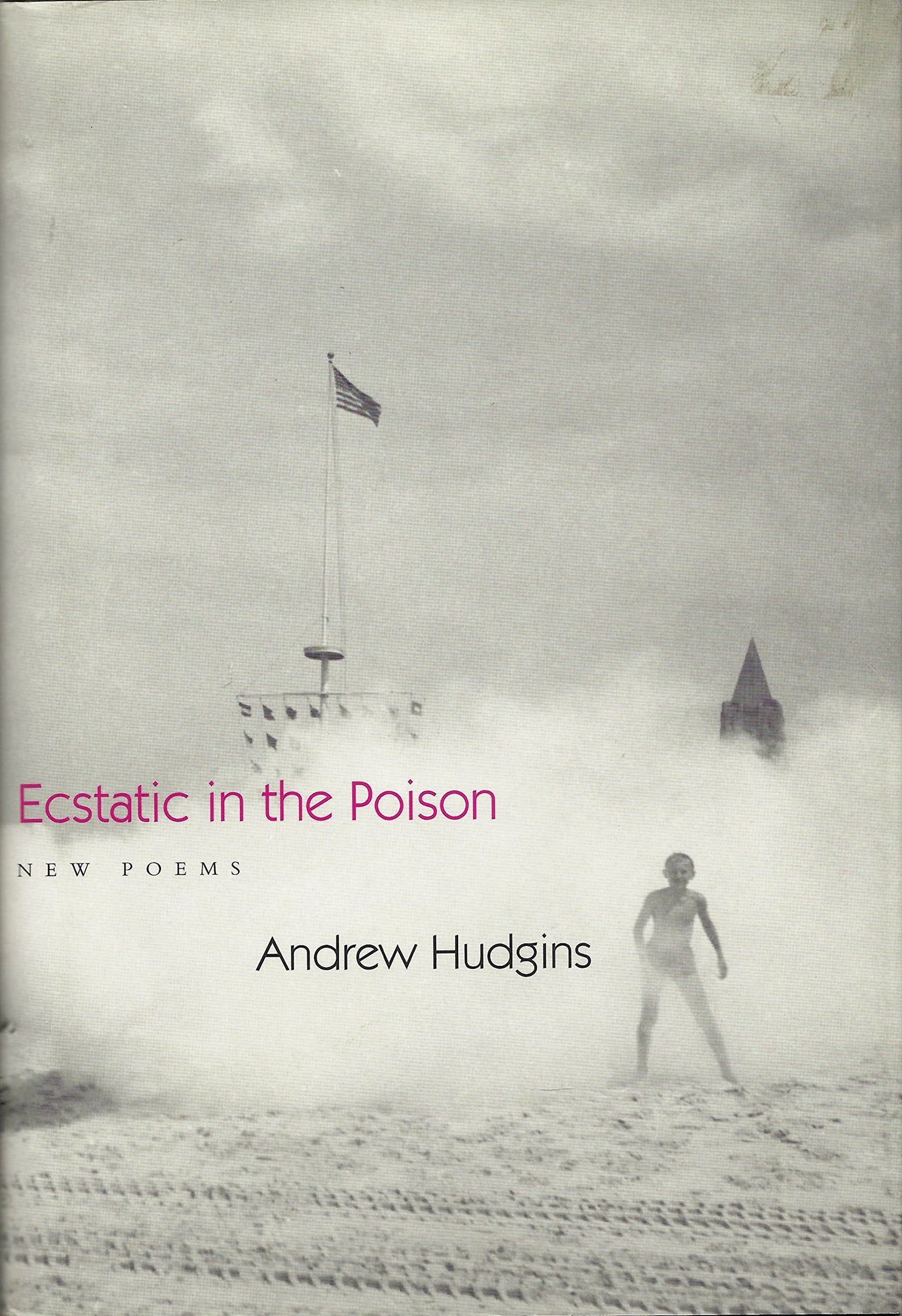 Ecstatic in the Poison: New Poems book cover