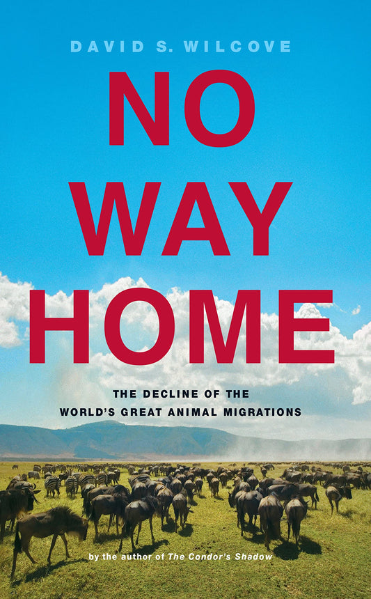 No Way Home: The Decline of the World's Great Animal Migrations book cover