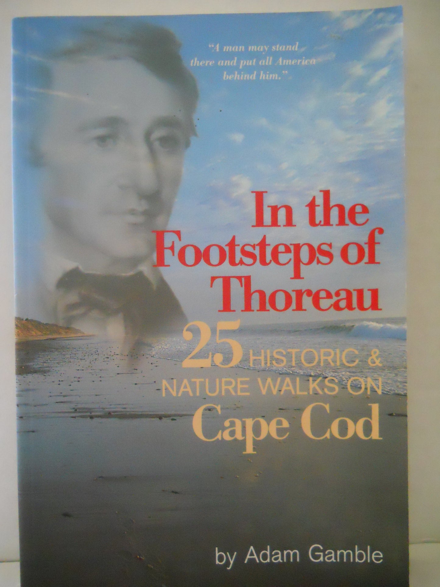 In the Footsteps of Thoreau: 25 Historic & Nature Walks on Cape Cod book cover
