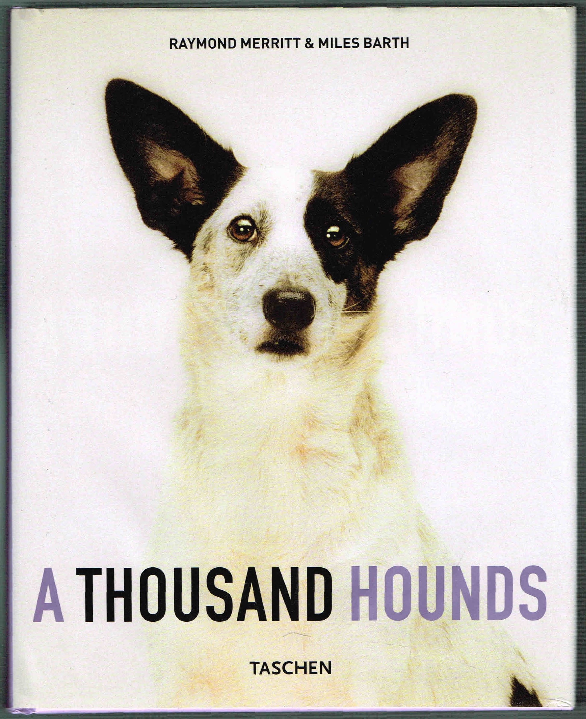 Thousand Hounds book cover
