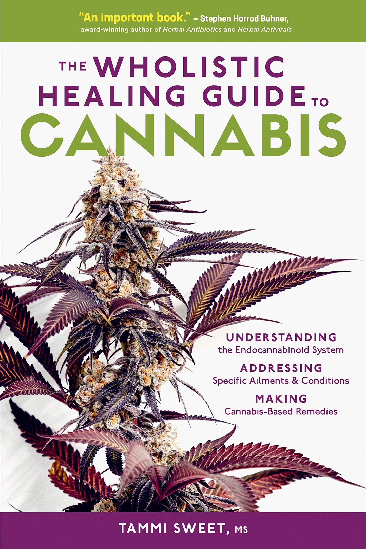 Wholistic Healing Guide to Cannabis: Understanding the Endocannabinoid System, Addressing Specific Ailments and Conditions, and Making Cannabis-Based