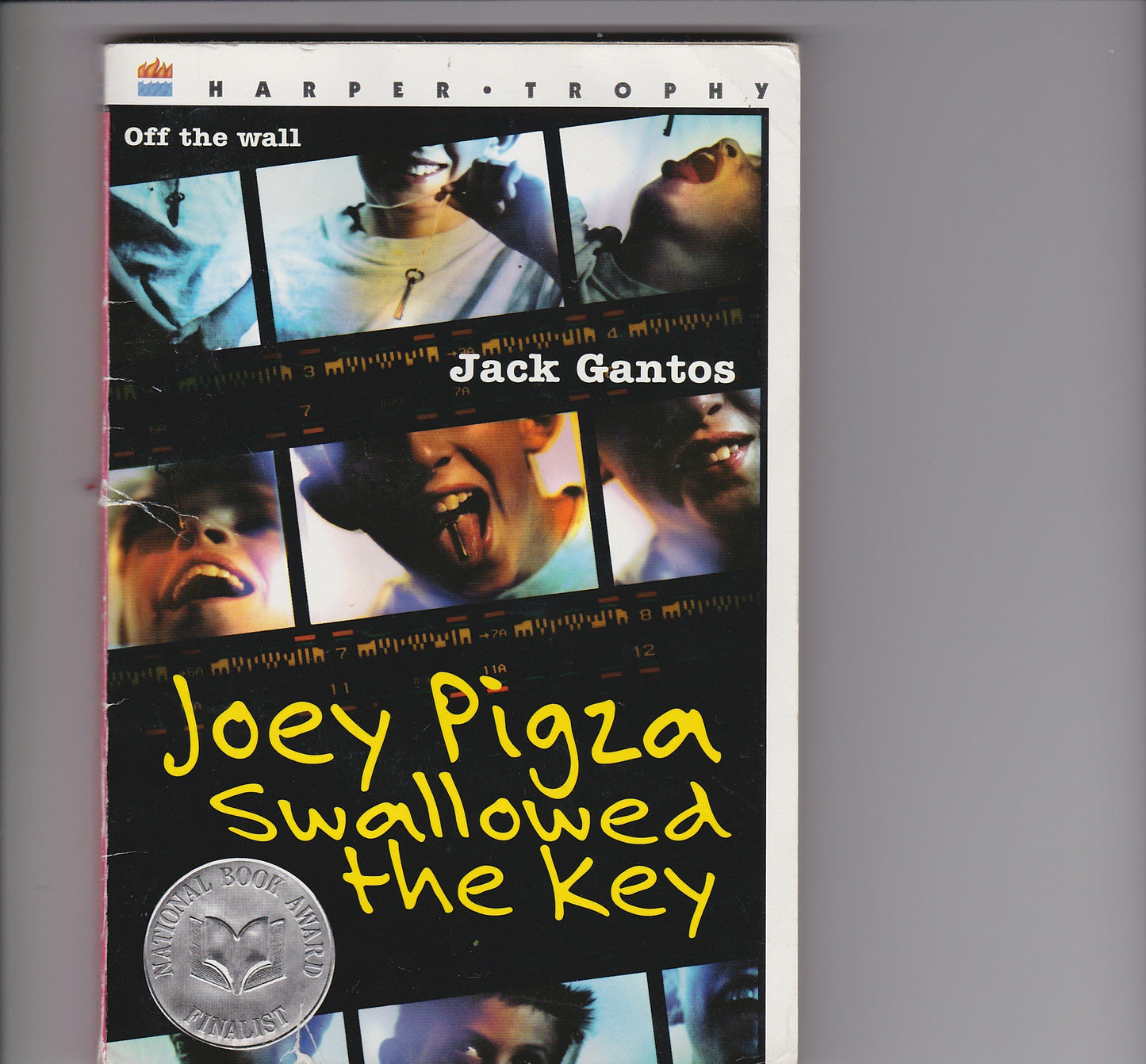 Joey Pigza Swallowed the Key