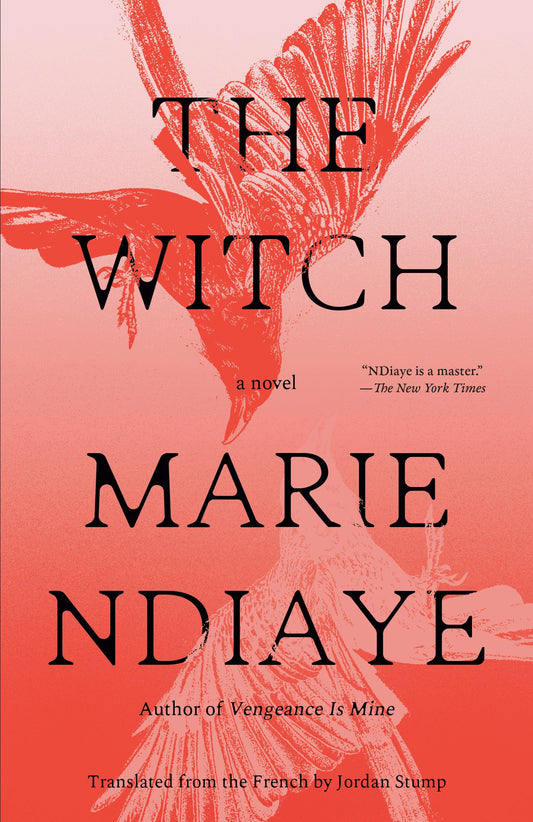 The Witch book cover