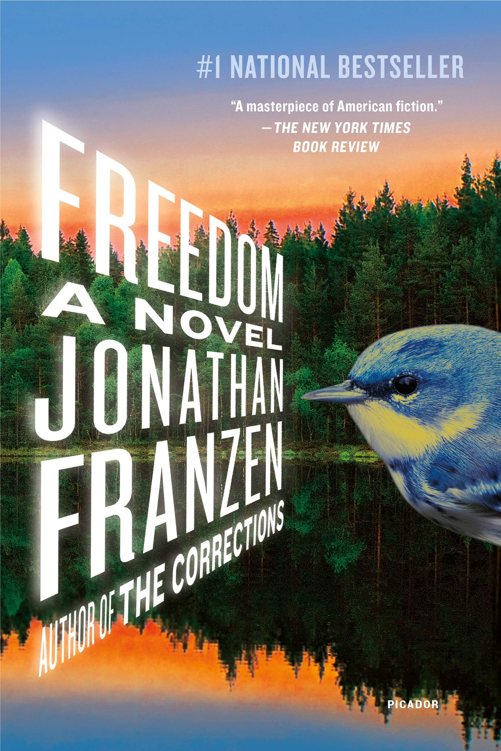 Freedom: A Novel book cover