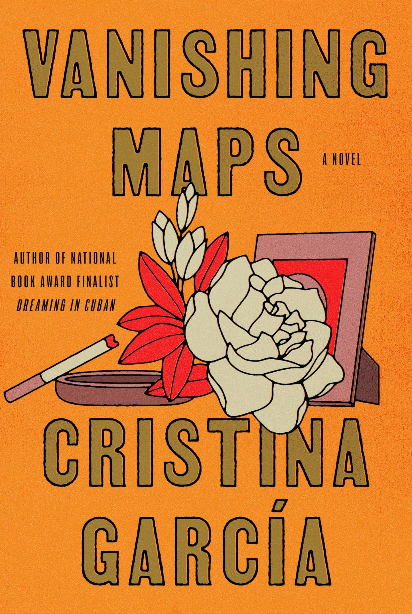 Vanishing Maps book cover