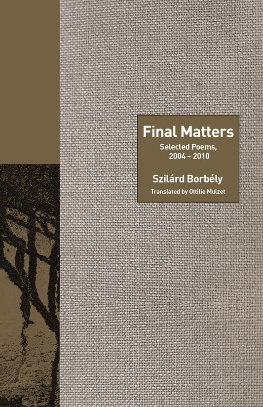 Final Matters book cover