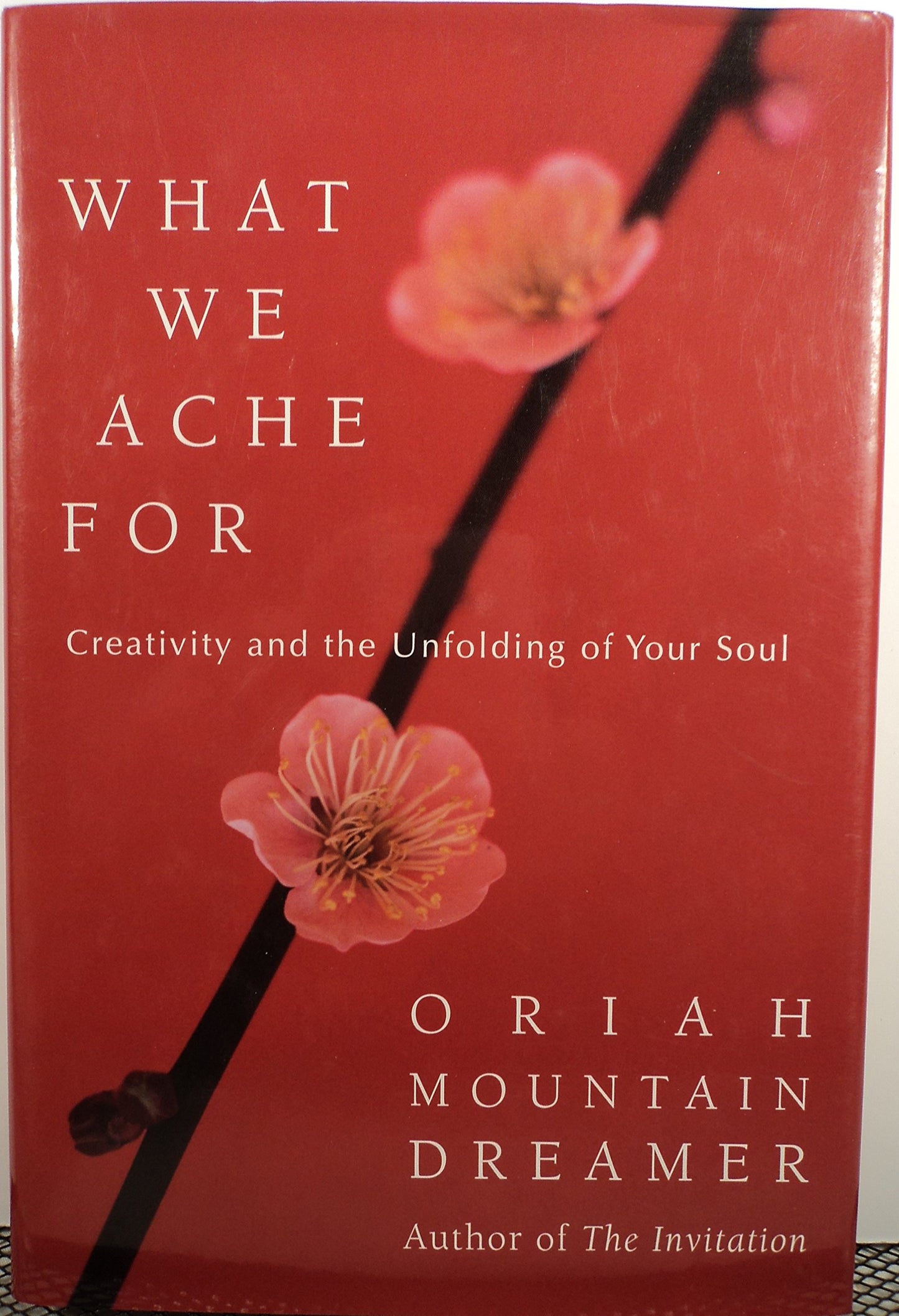 What We Ache for: Creativity and the Unfolding of Your Soul book cover