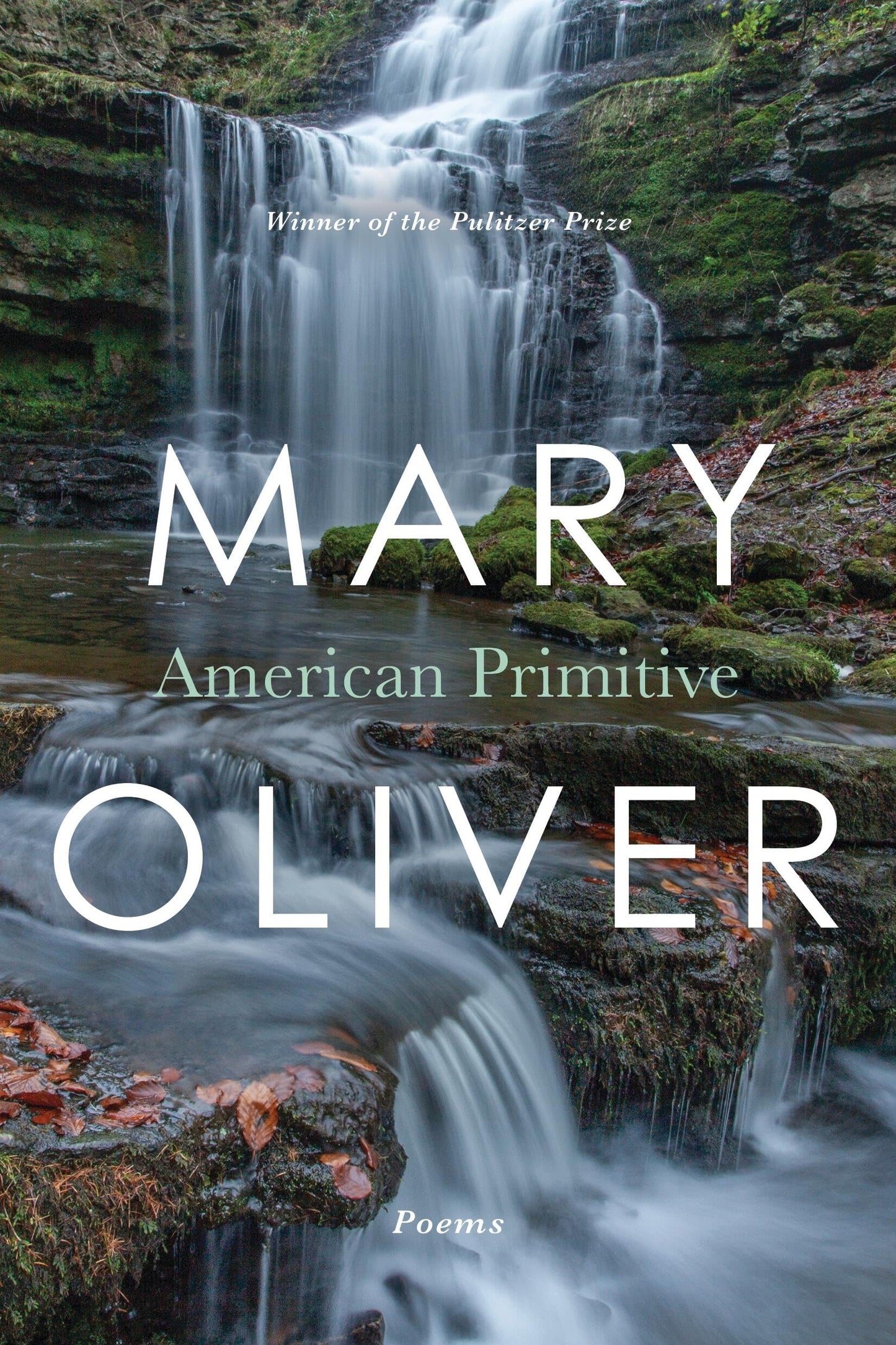 American Primitive book cover