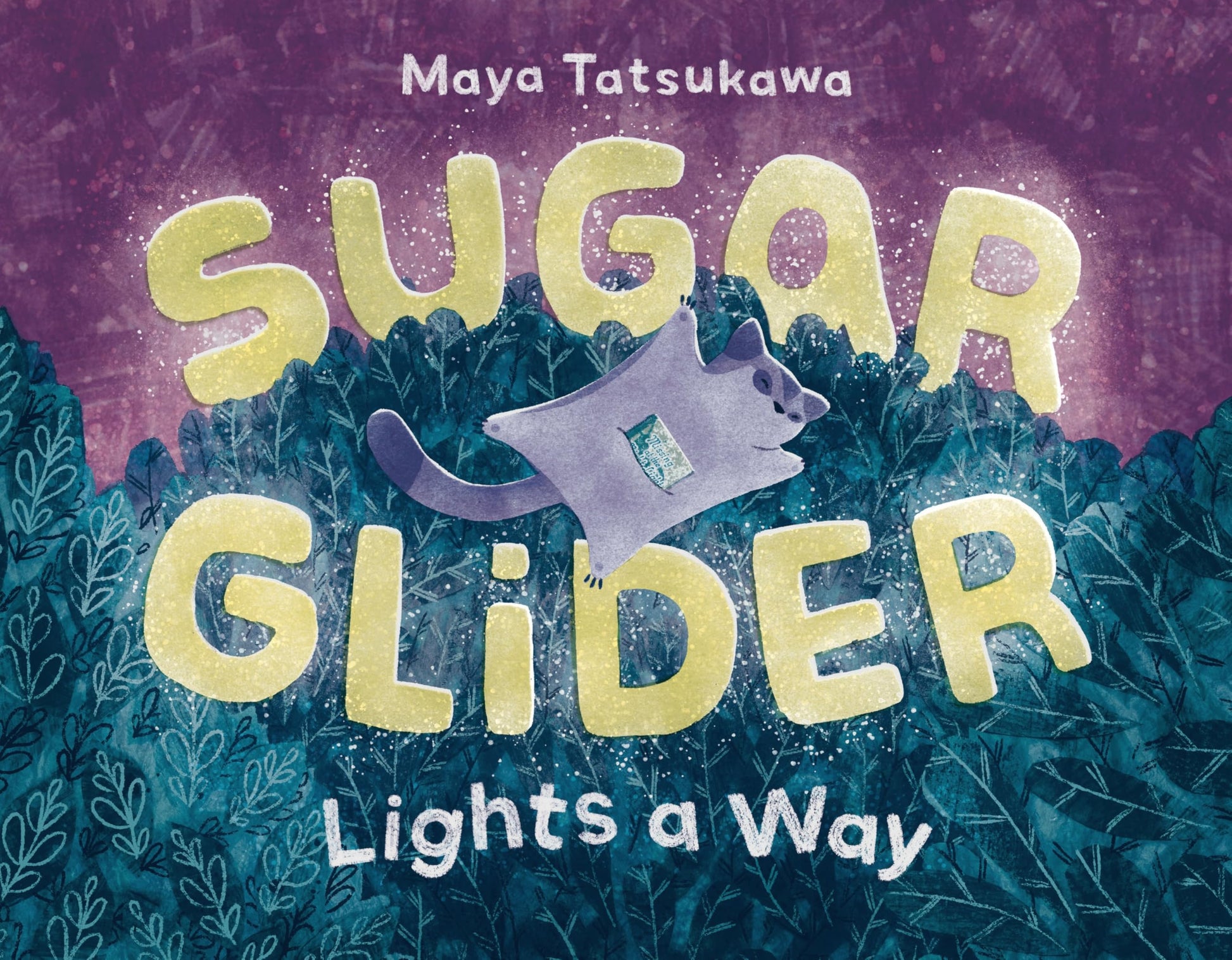 Sugar Glider Lights a Way book cover