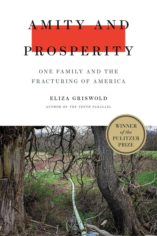Amity and Prosperity: One Family and the Fracturing of America book cover