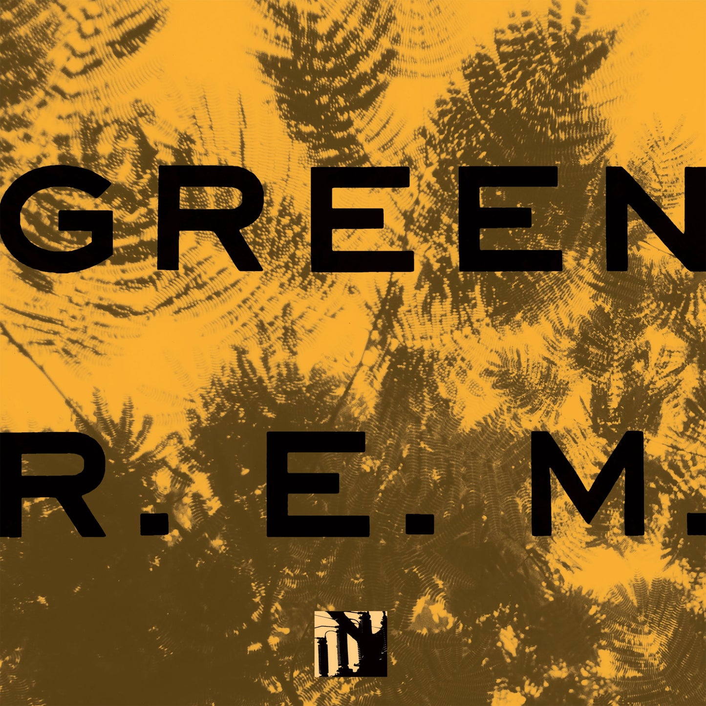 Green [With Poster and 4 Postcards] (Anniversary, Deluxe) book cover