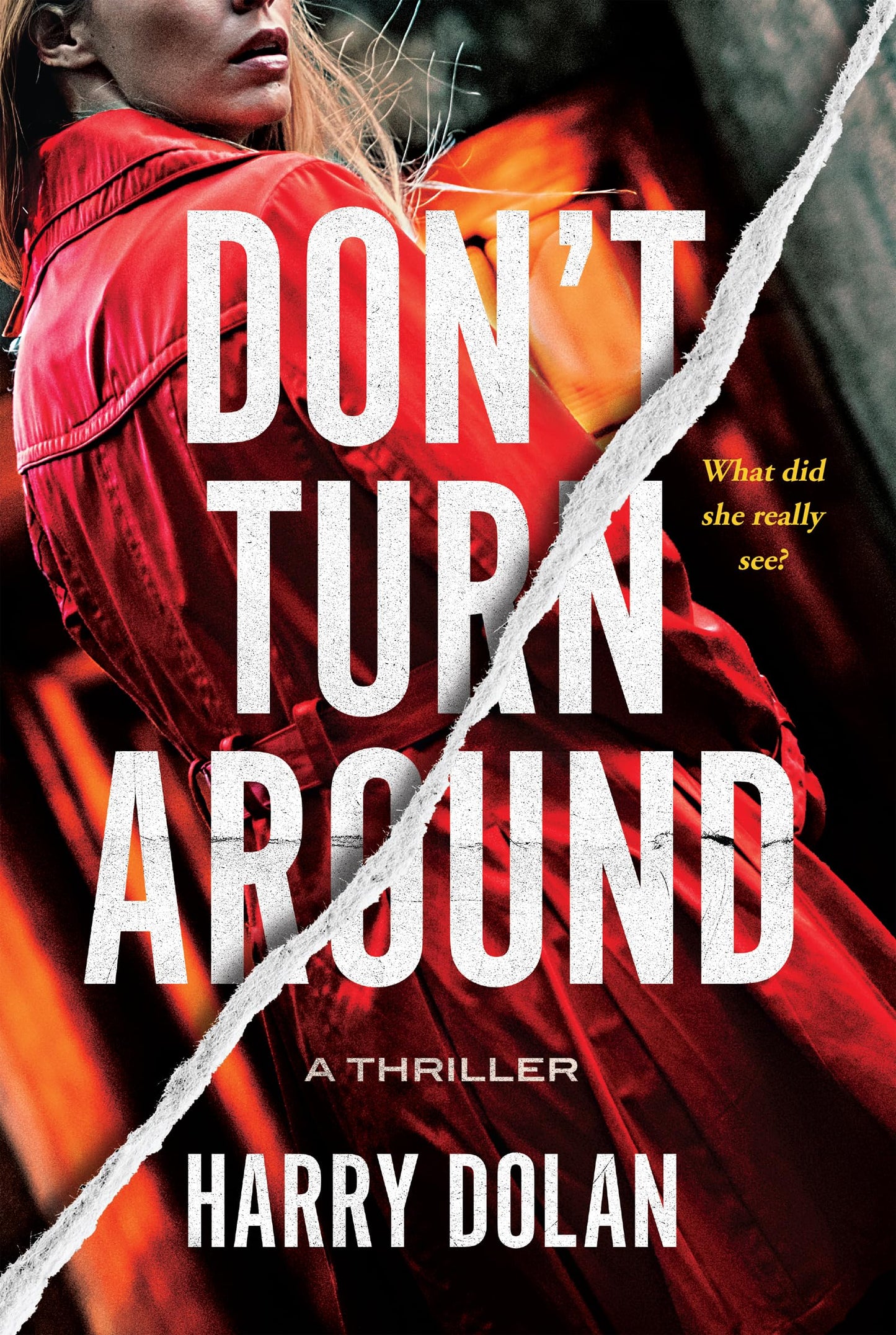 Don't Turn Around book cover
