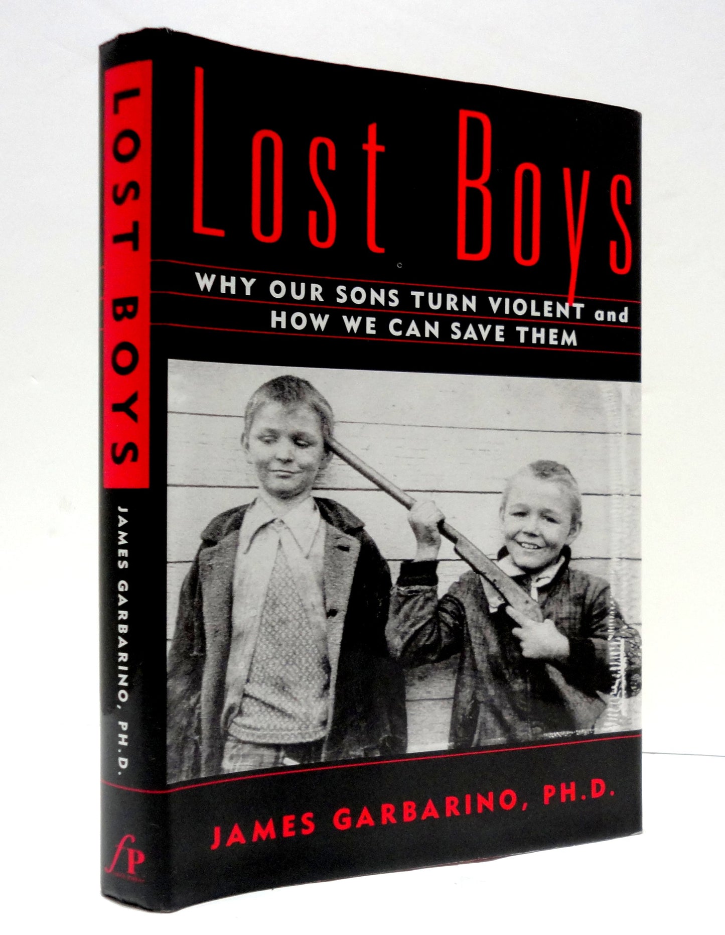 Lost Boys: Why Our Sons Turn Violent and How We Can Save Them (Anchor Books) book cover